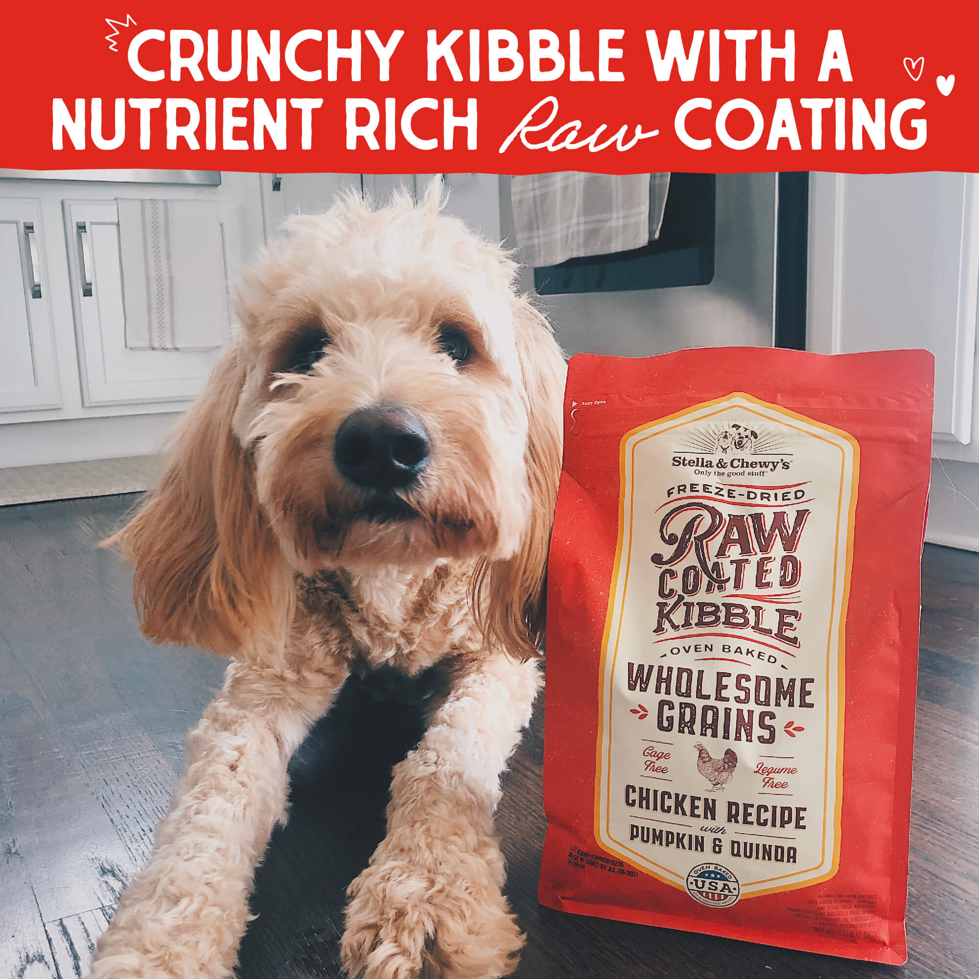 Chicken Recipe with Pumpkin & Quinoa Raw Coated Kibble Wholesome Grains