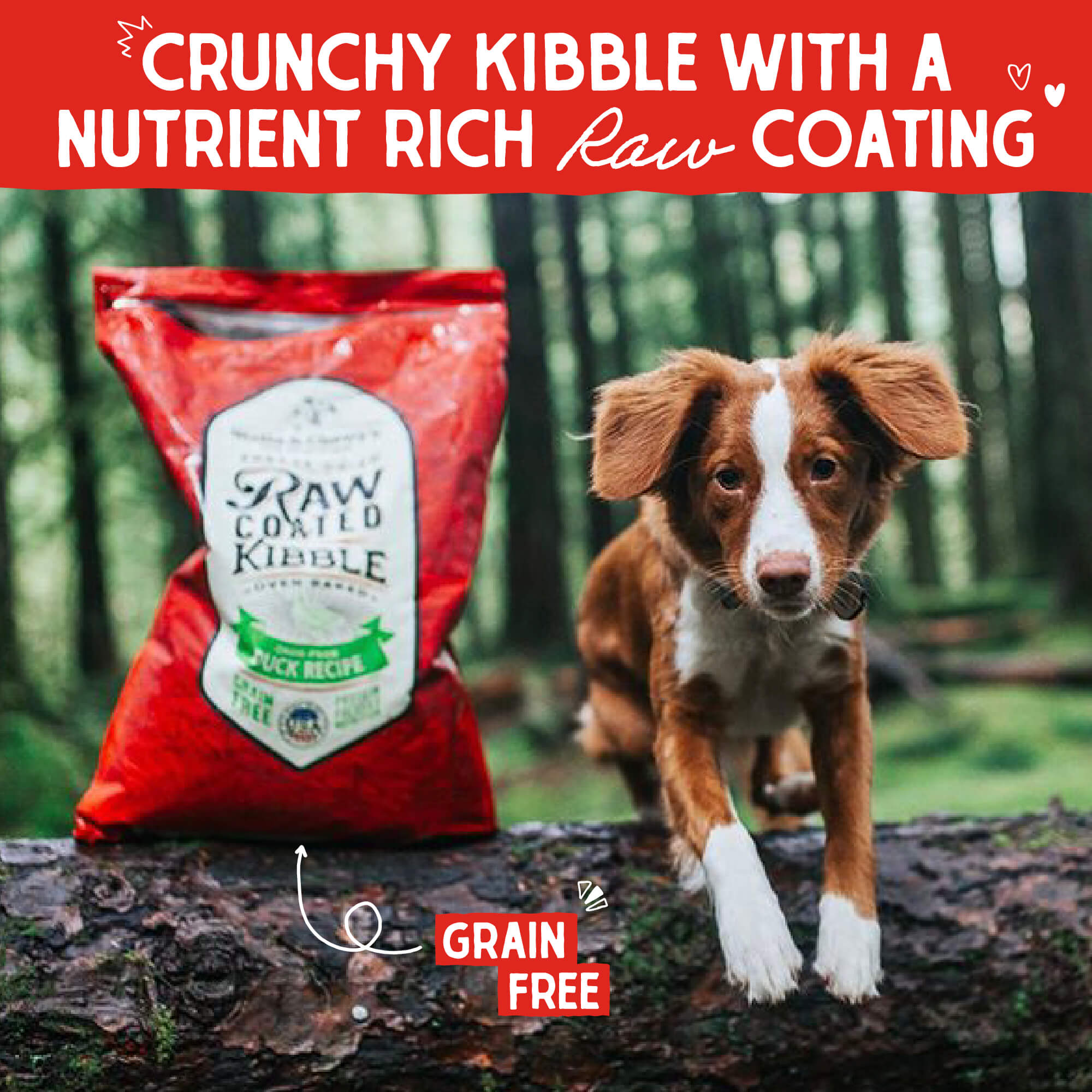 Cage-Free Duck Raw Coated Kibble