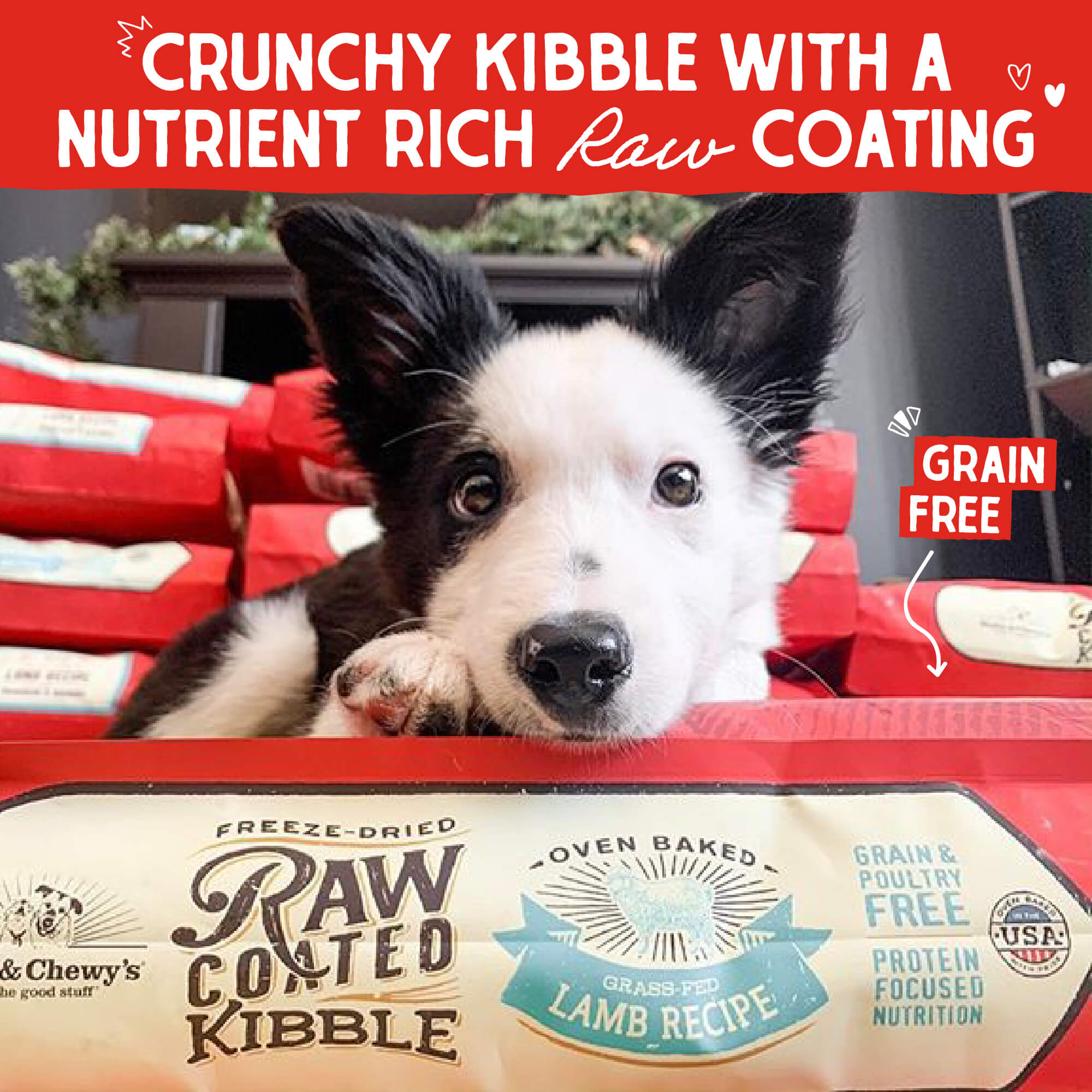 Grass-Fed Lamb Raw Coated Kibble