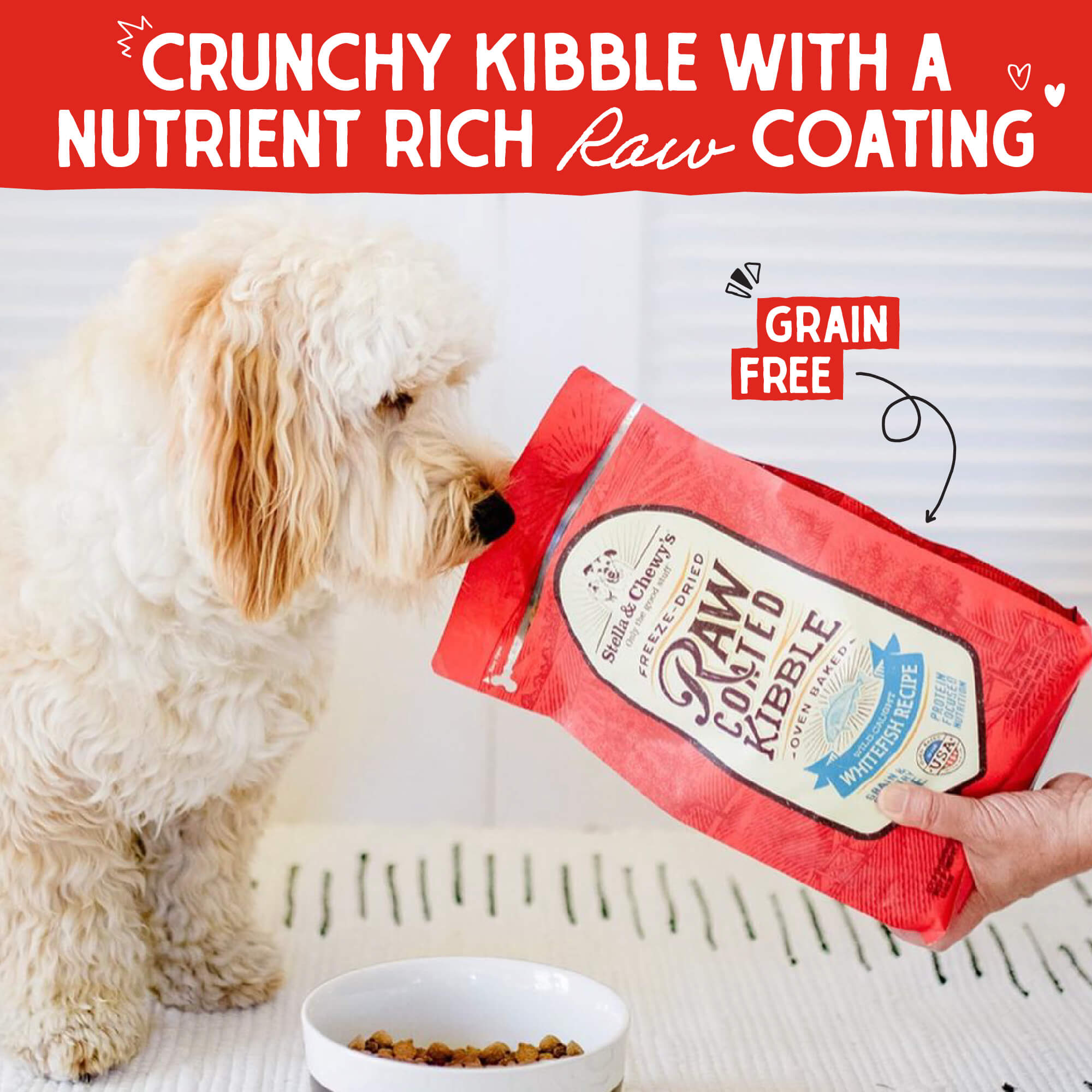 Wild Caught Whitefish Raw Coated Kibble