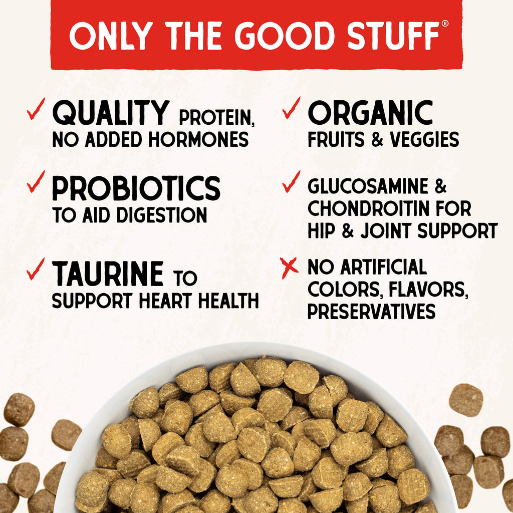 Beef Recipe with Pumpkin & Quinoa Raw Coated Kibble Wholesome Grains