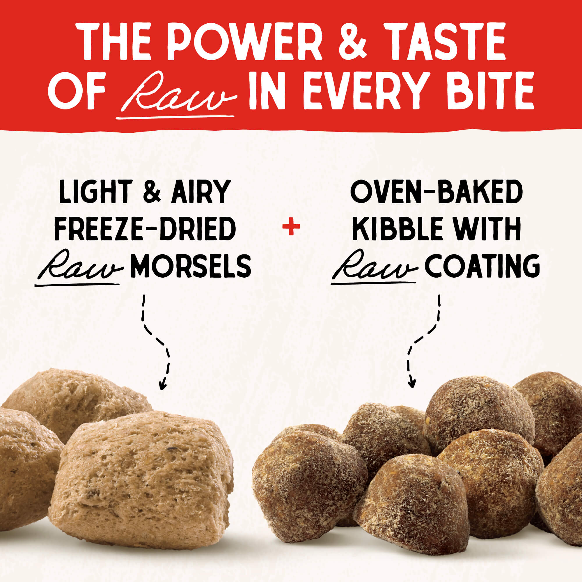 Free Range Raw Blend Kibble