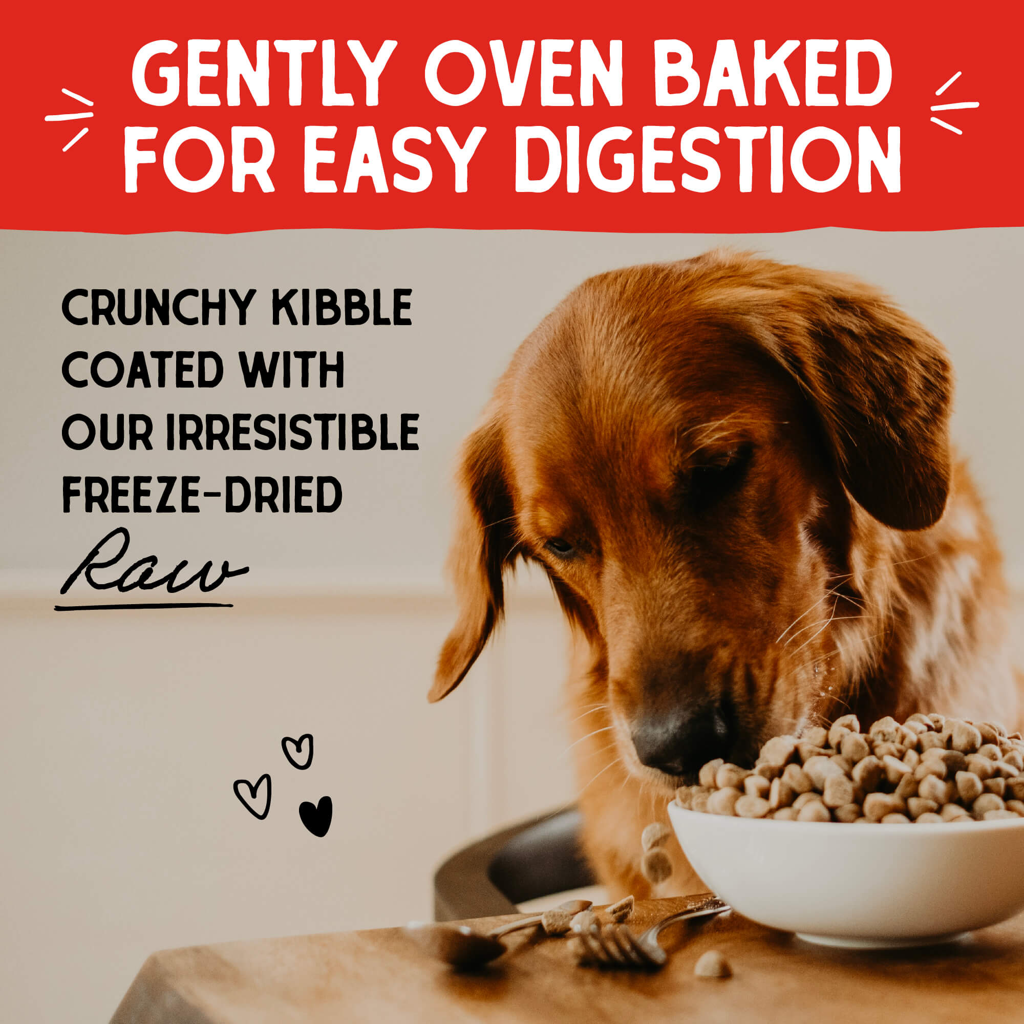 Beef Recipe with Pumpkin & Quinoa Raw Coated Kibble Wholesome Grains