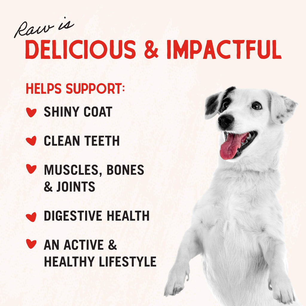 Beef Recipe with Pumpkin & Quinoa Raw Coated Kibble Wholesome Grains
