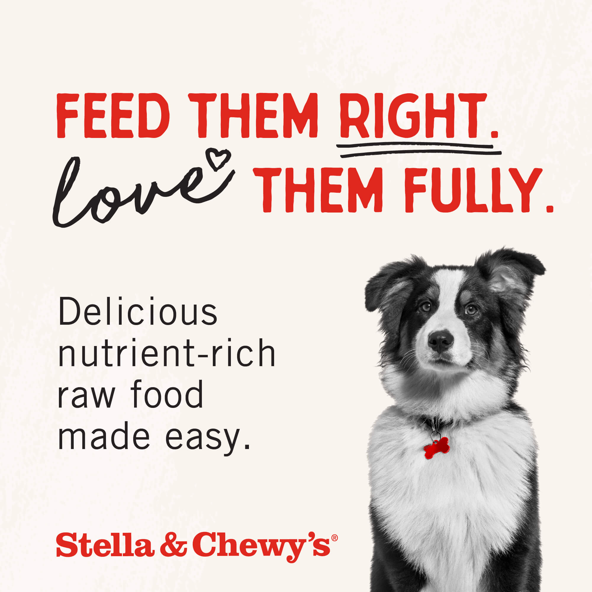 Beef Recipe with Pumpkin & Quinoa Raw Coated Kibble Wholesome Grains