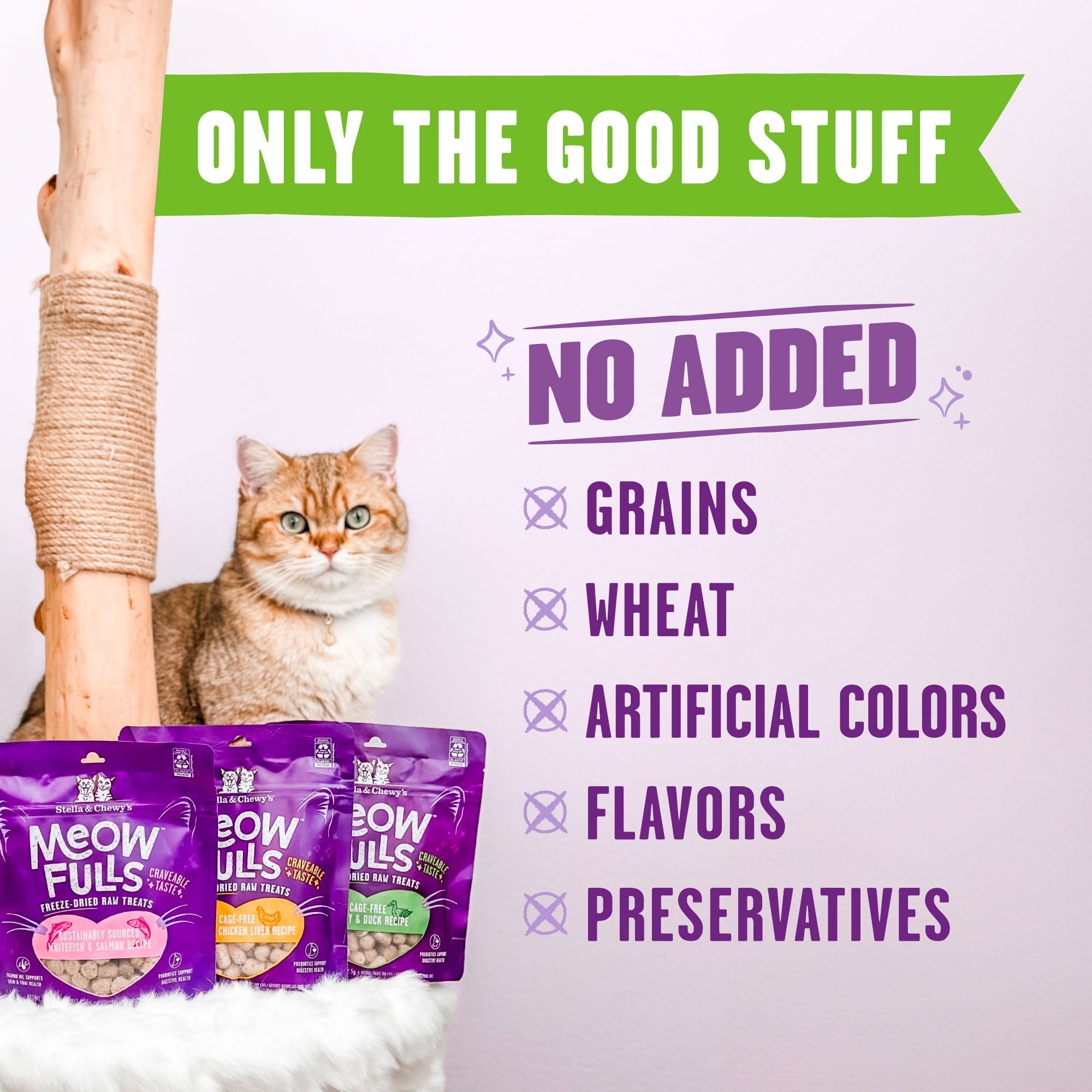 Meowfulls Turkey & Duck Cat Treats