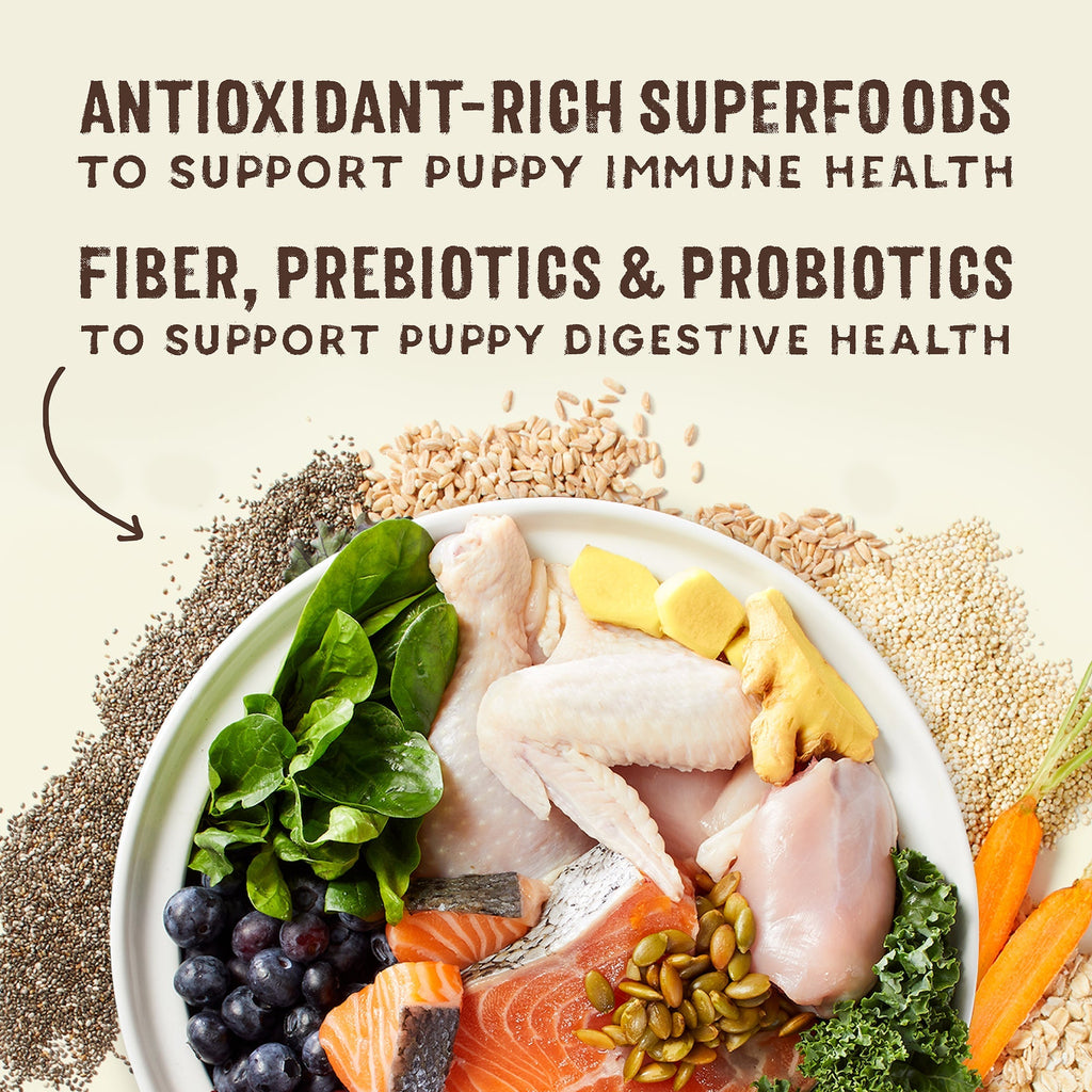 SuperBlends Raw Coated Puppy Kibble: Chicken, Salmon + Superfoods