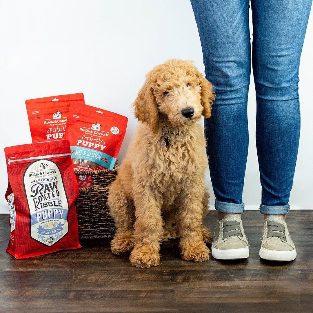 Cage-Free Chicken Raw Coated Kibble Puppy Dry Dog Food