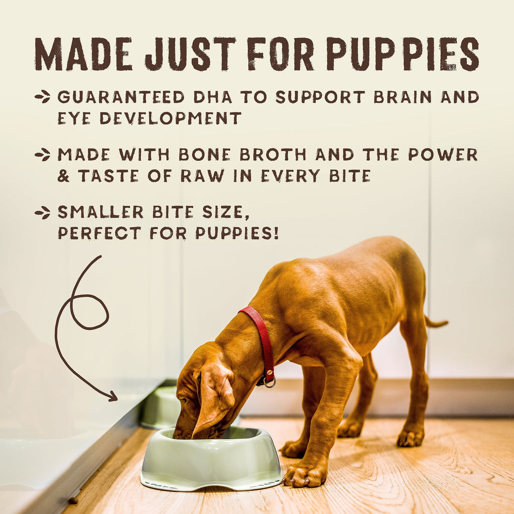 SuperBlends Raw Coated Puppy Kibble: Chicken, Salmon + Superfoods