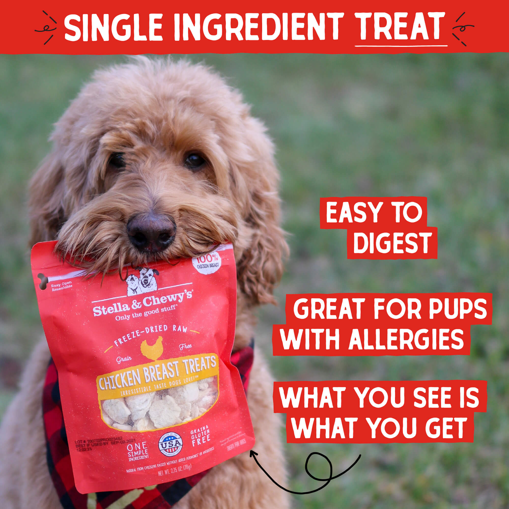 Chicken Breast Treats