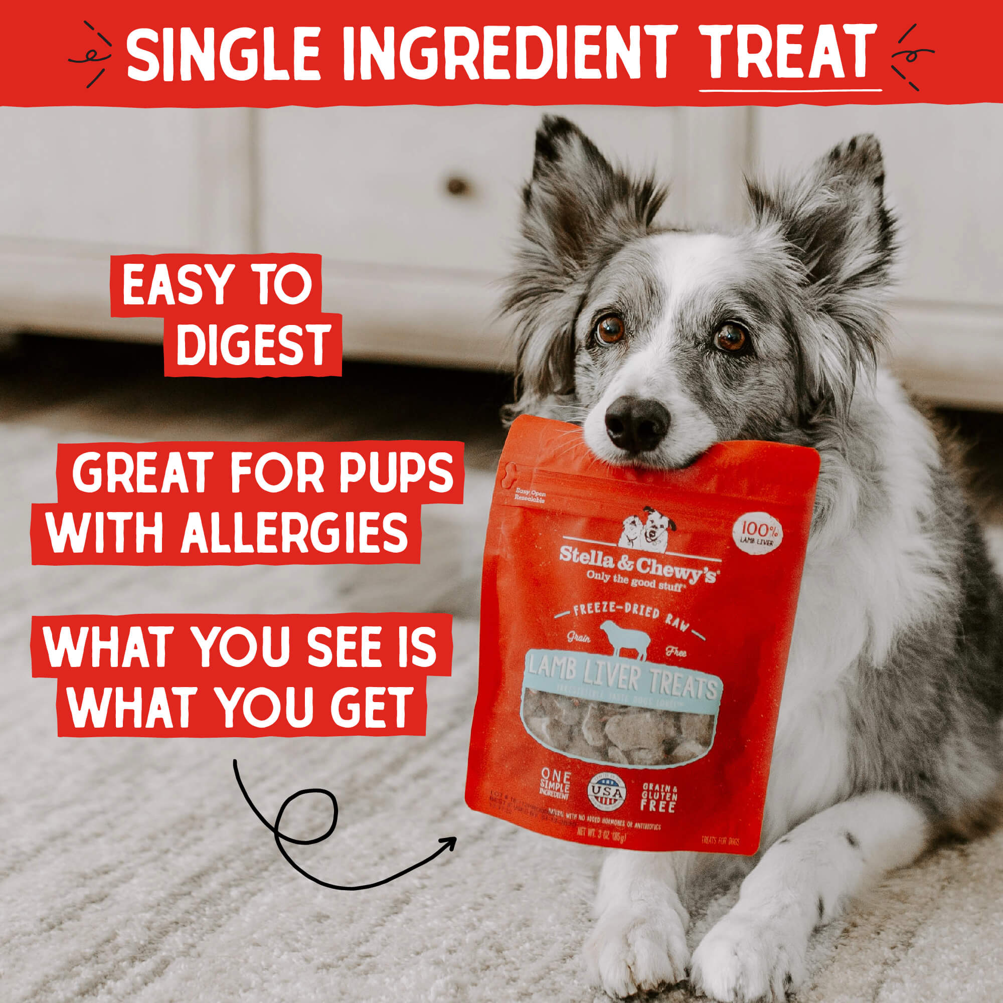 Lamb Liver Dog Treats
