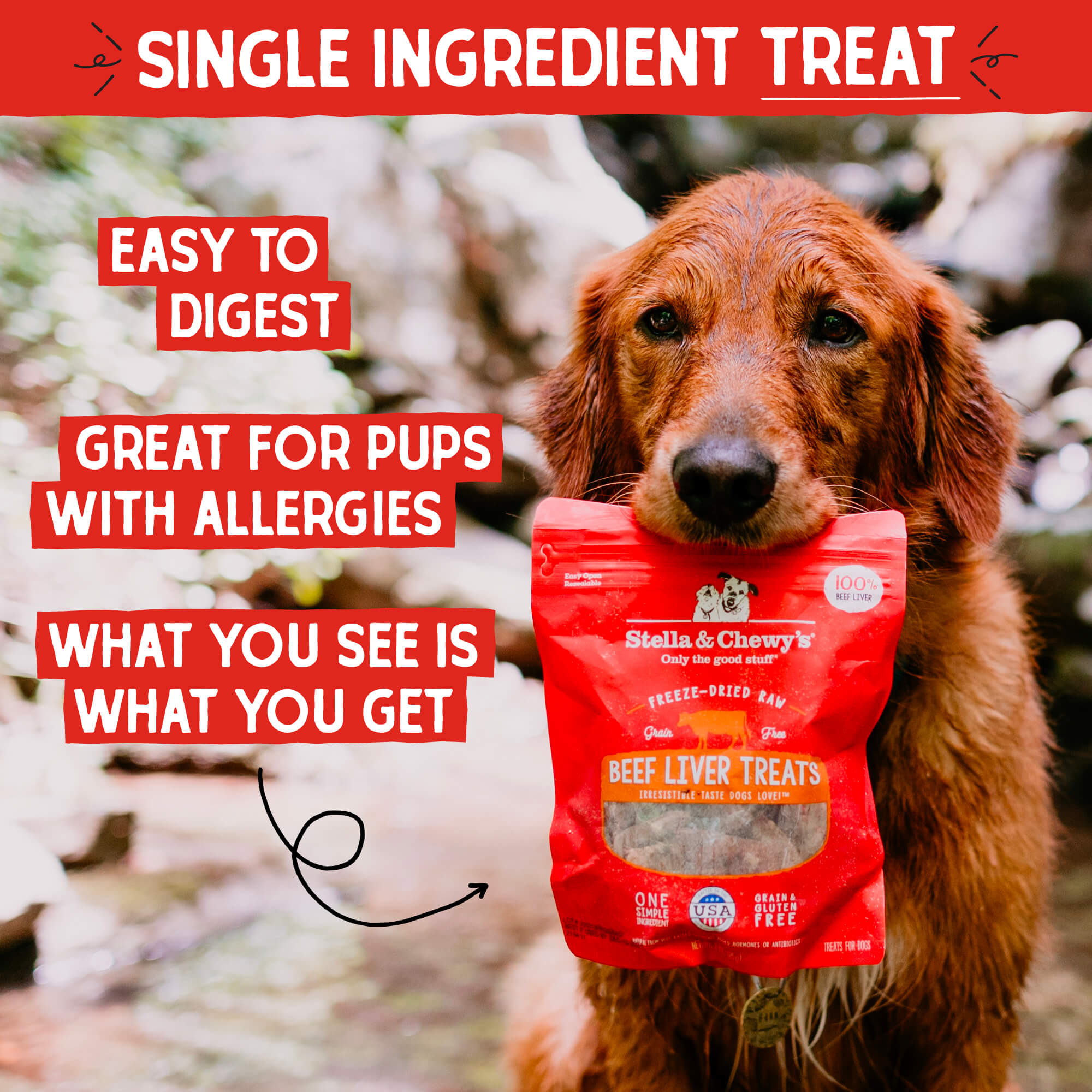 Beef Liver Treats