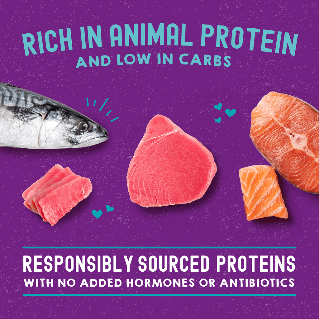 Carnivore Cravings Salmon, Tuna & Mackerel Recipe