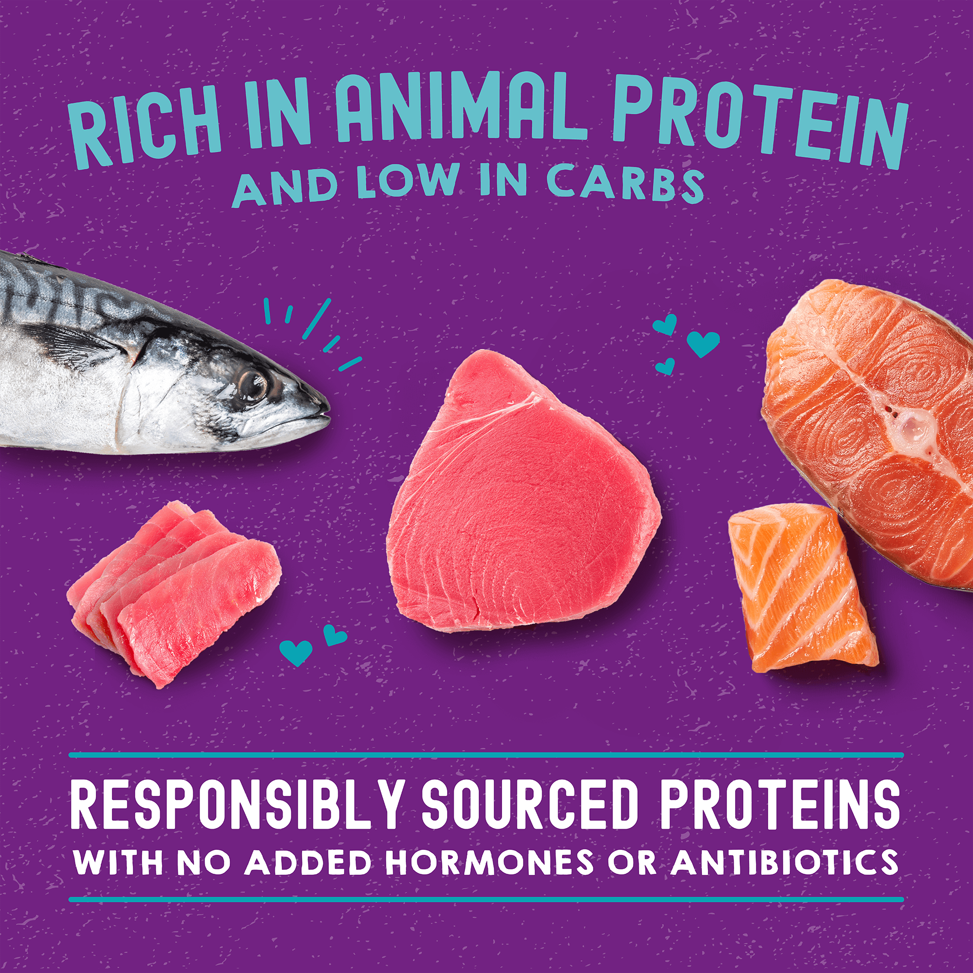 Carnivore Cravings Salmon, Tuna & Mackerel Recipe