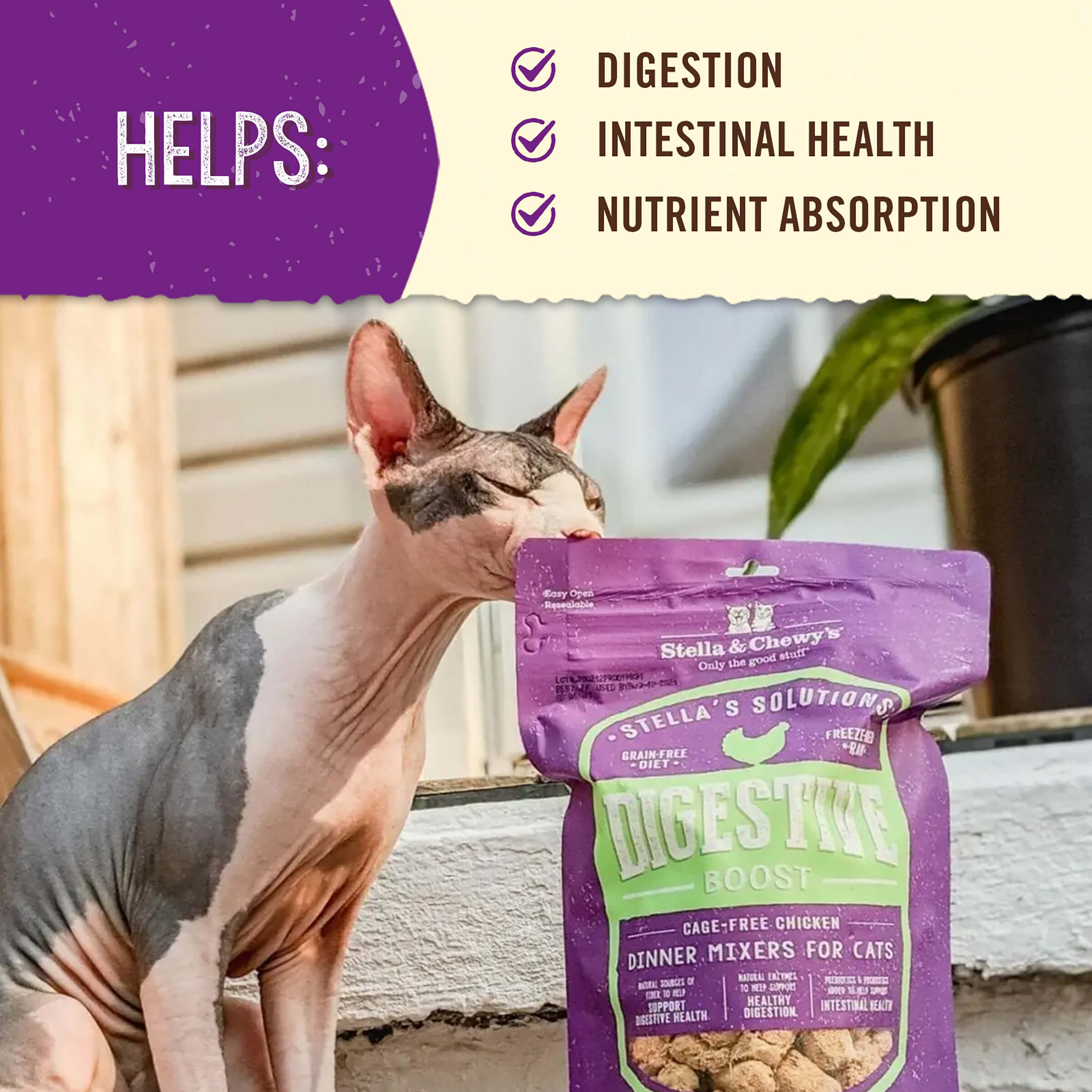 Stella’s Solutions Digestive Support