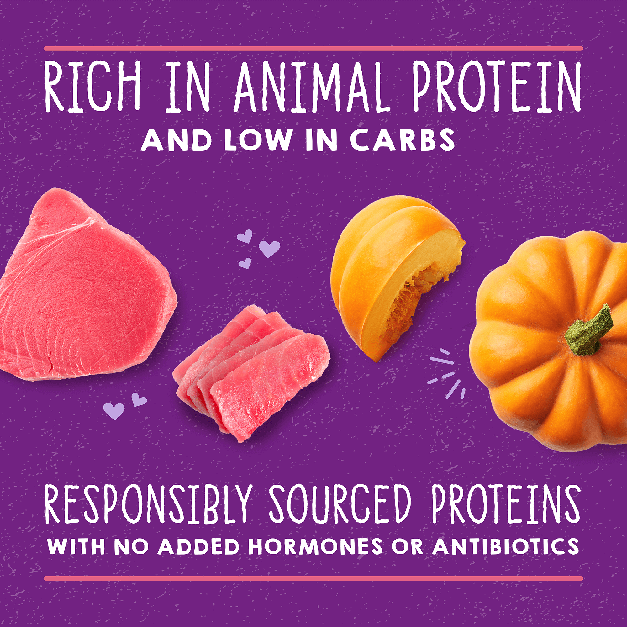 Carnivore Cravings Purrfect Paté Tuna & Pumpkin Recipe