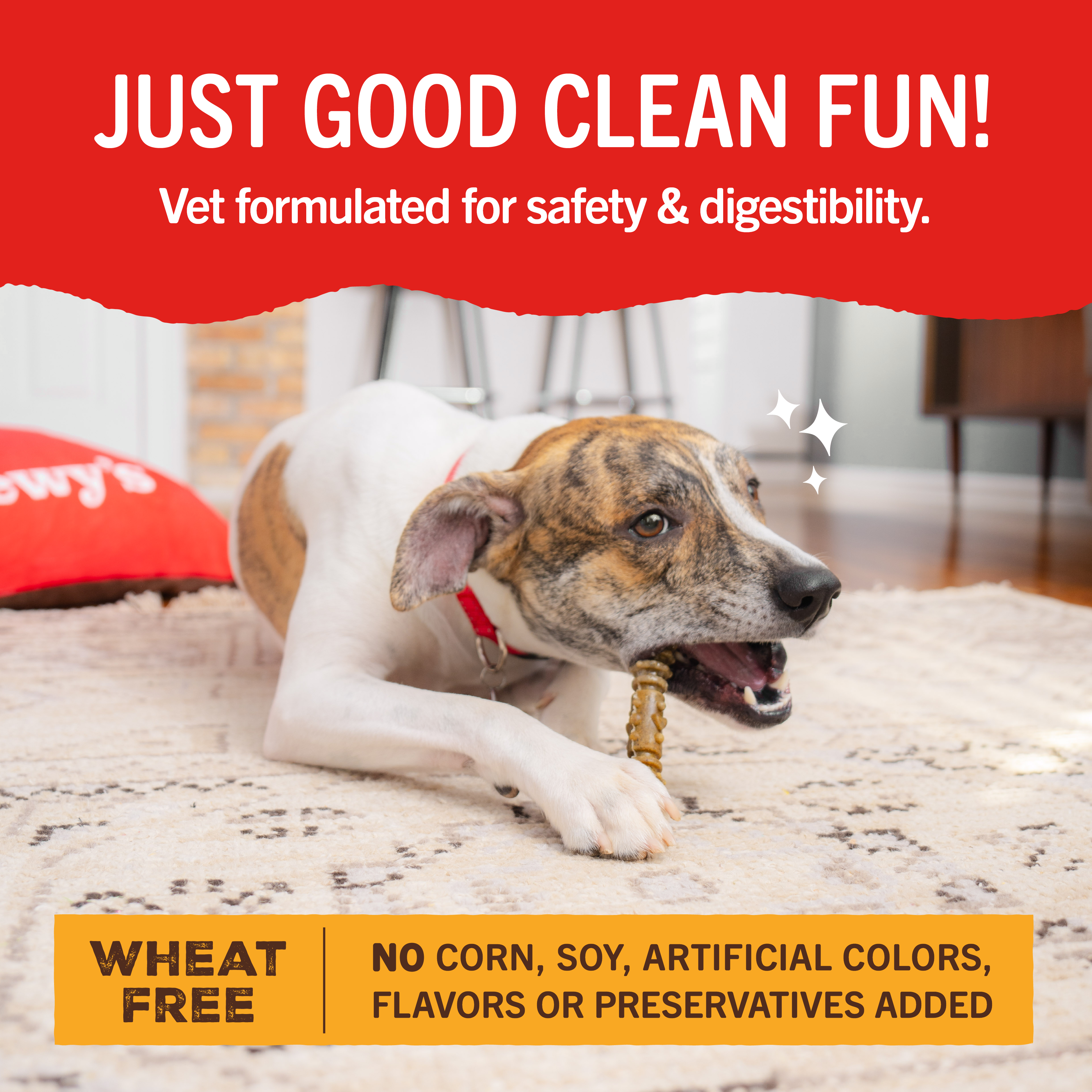 Dental Delights Large Dog Dental Treats