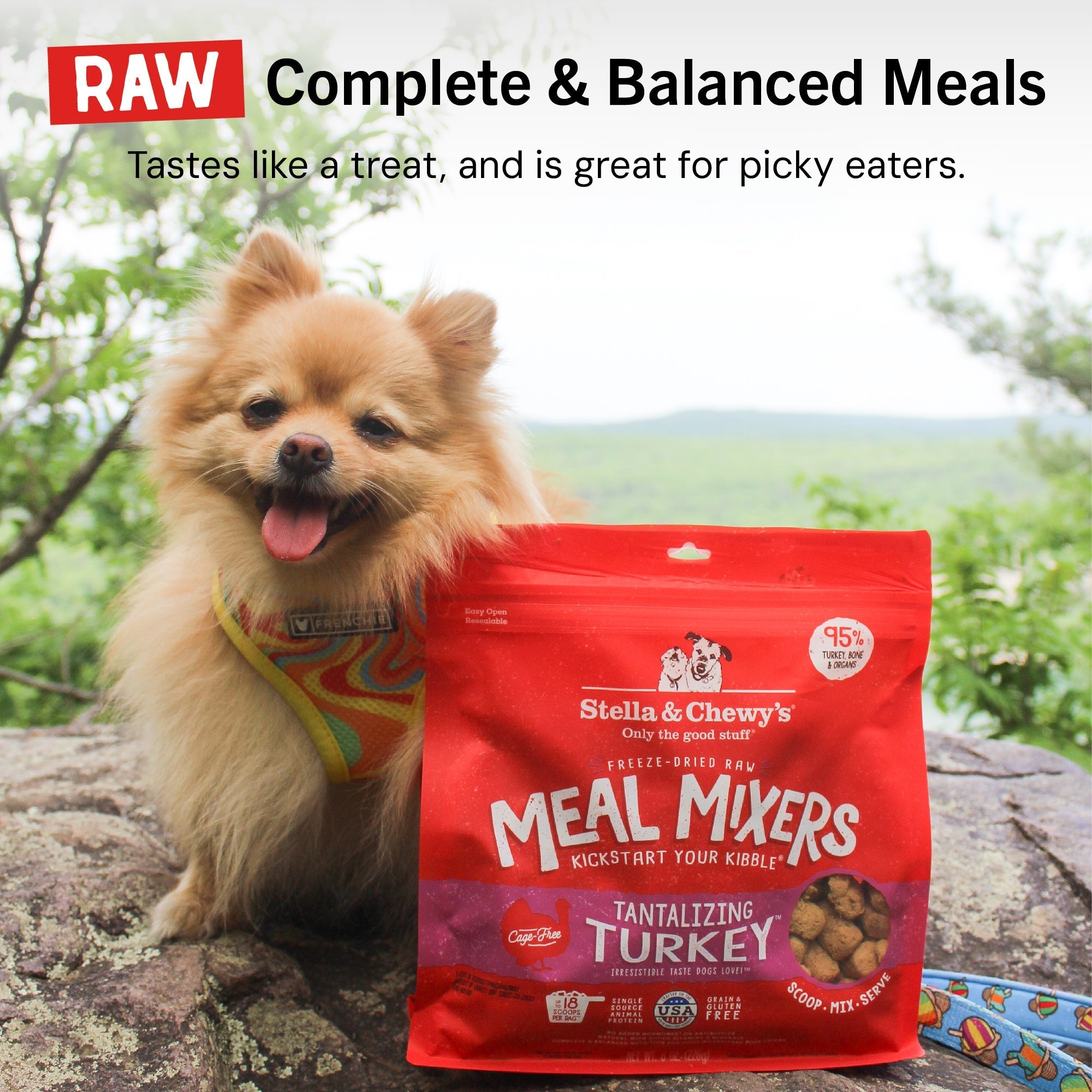 Tantalizing Turkey Meal Mixers