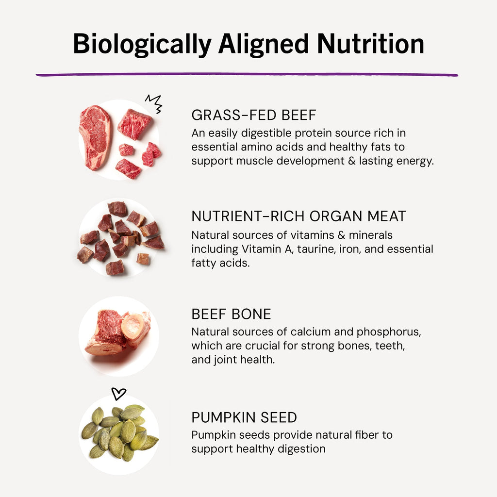 Bountiful Beef Freeze-Dried Raw Dinner Morsels