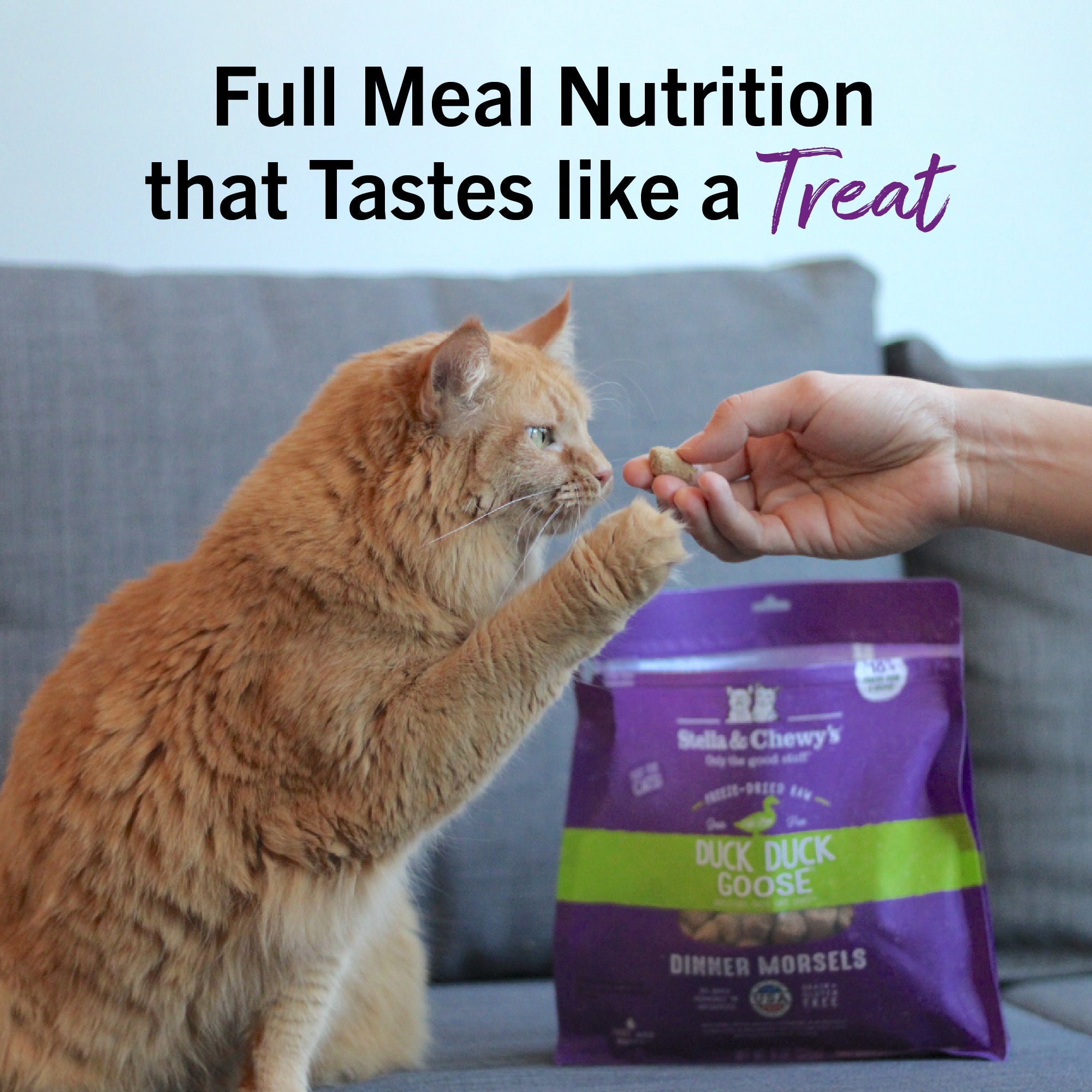 Duck Duck Goose Freeze-Dried Raw Dinner Morsels