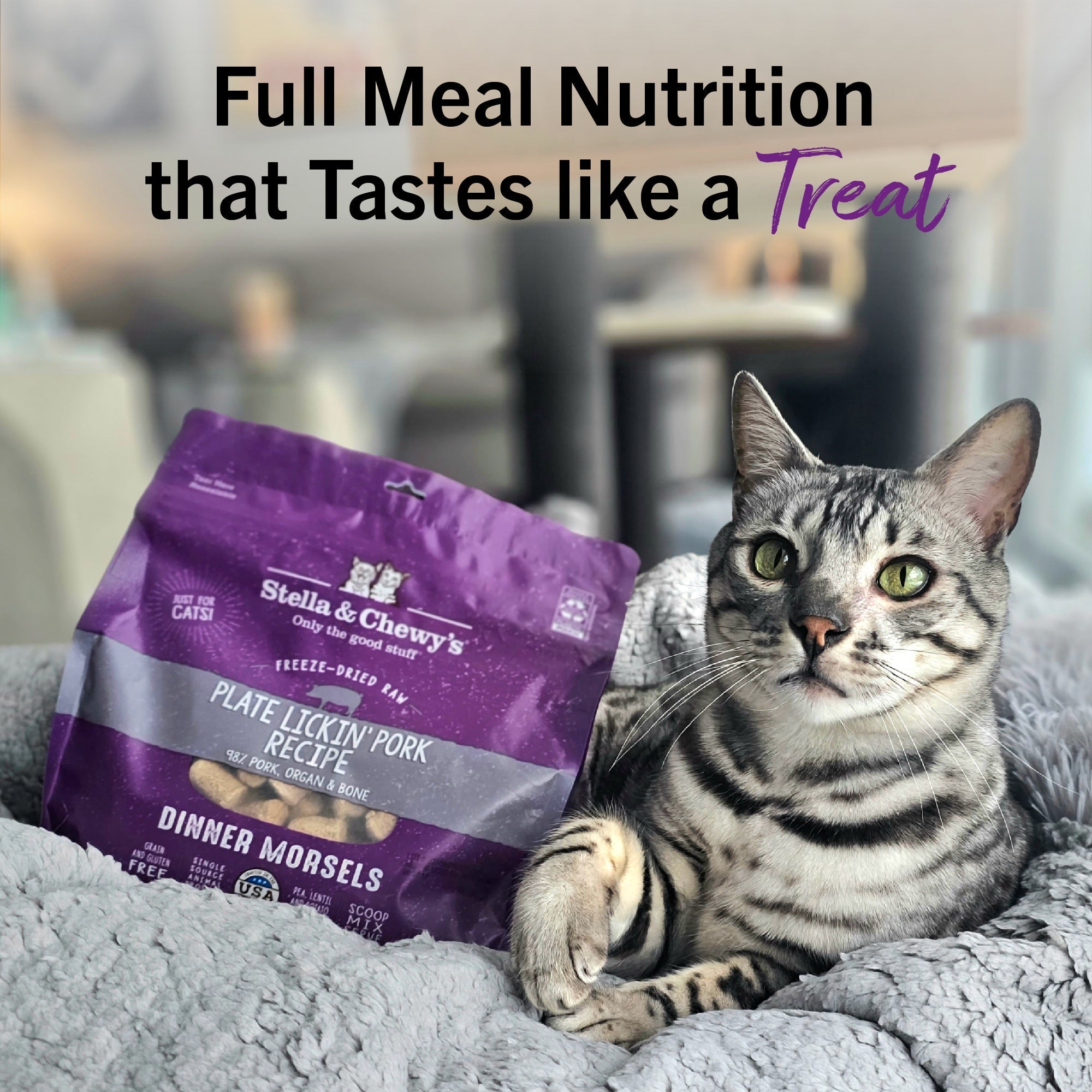 Plate Lickin' Pork Freeze-Dried Raw Dinner Morsels