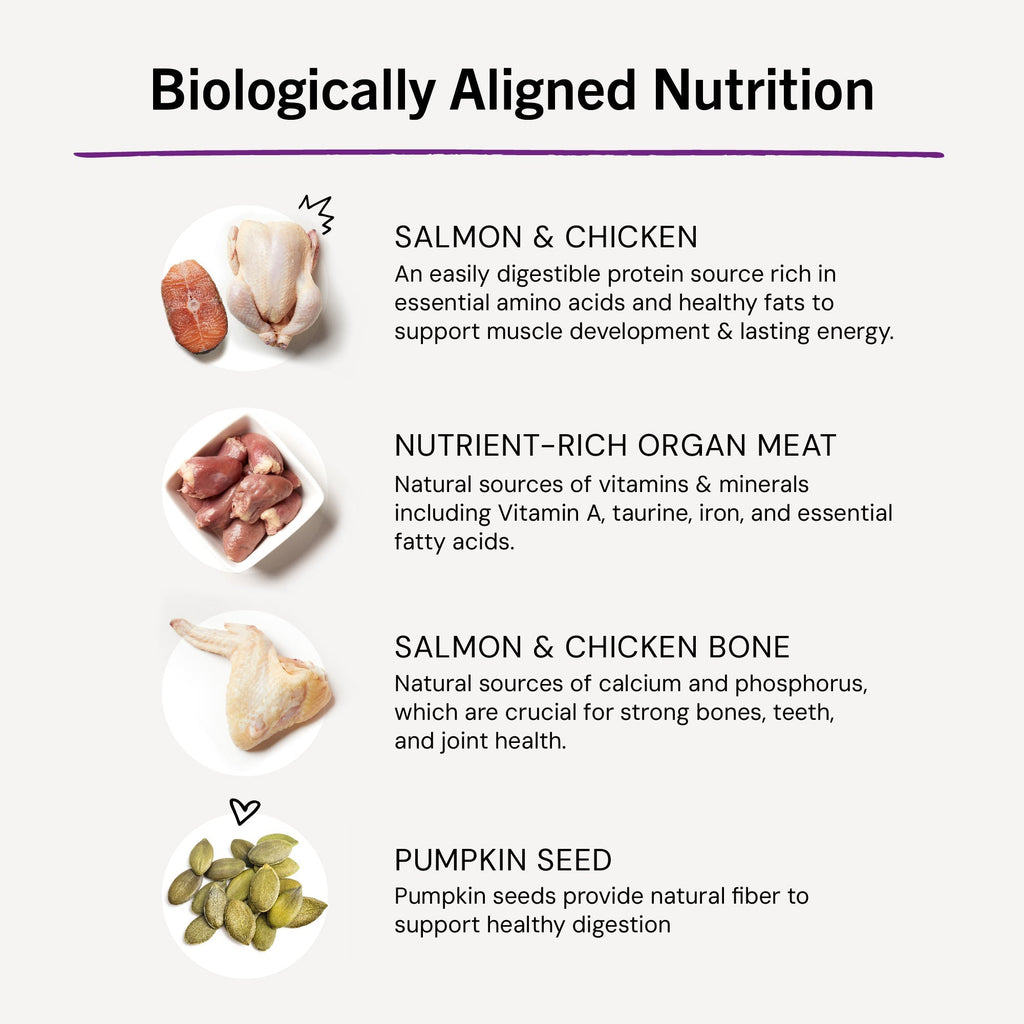 Yummy Lickin’ Salmon & Chicken Freeze-Dried Raw Dinner Morsels