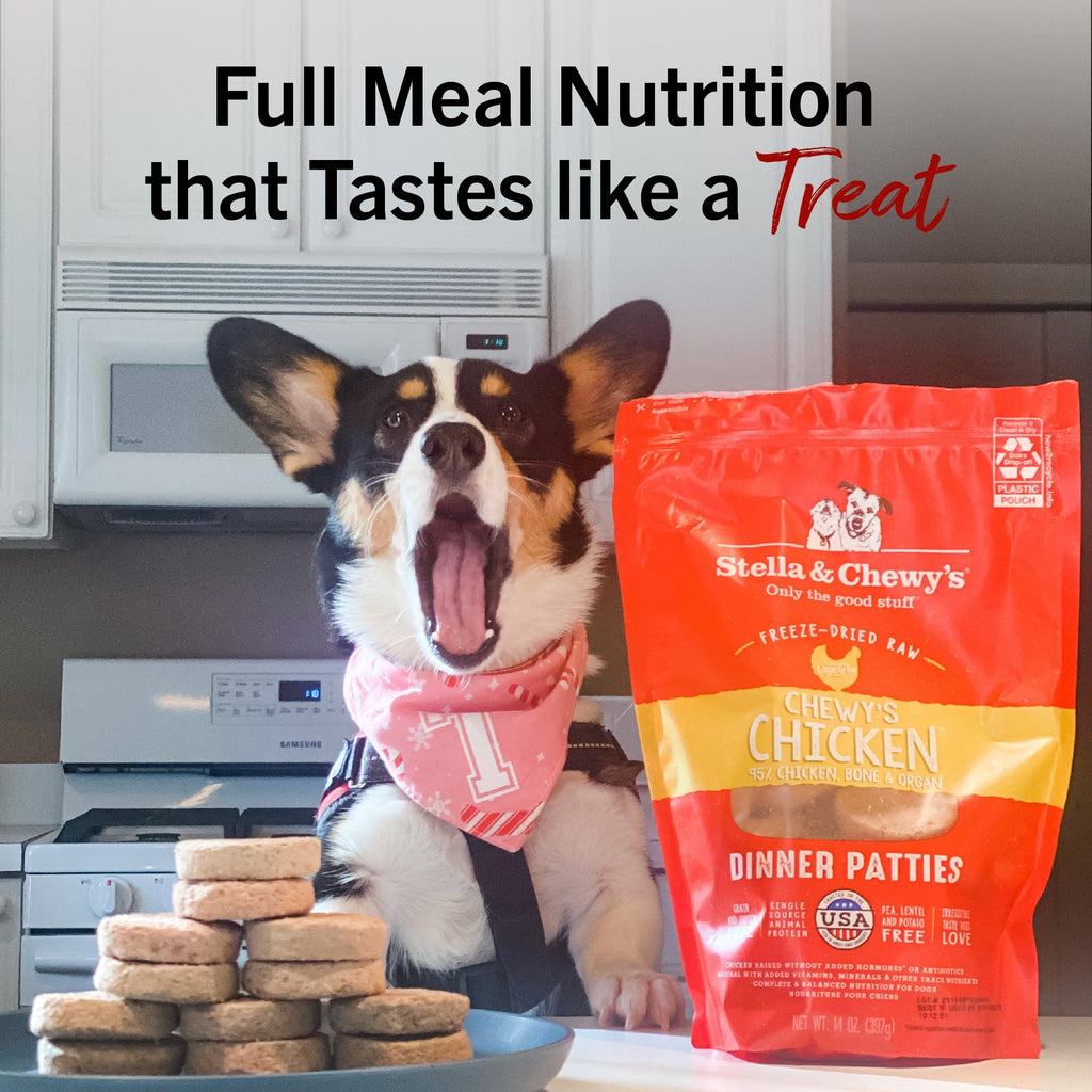 Dandy Lamb Freeze-Dried Raw Dinner Patties