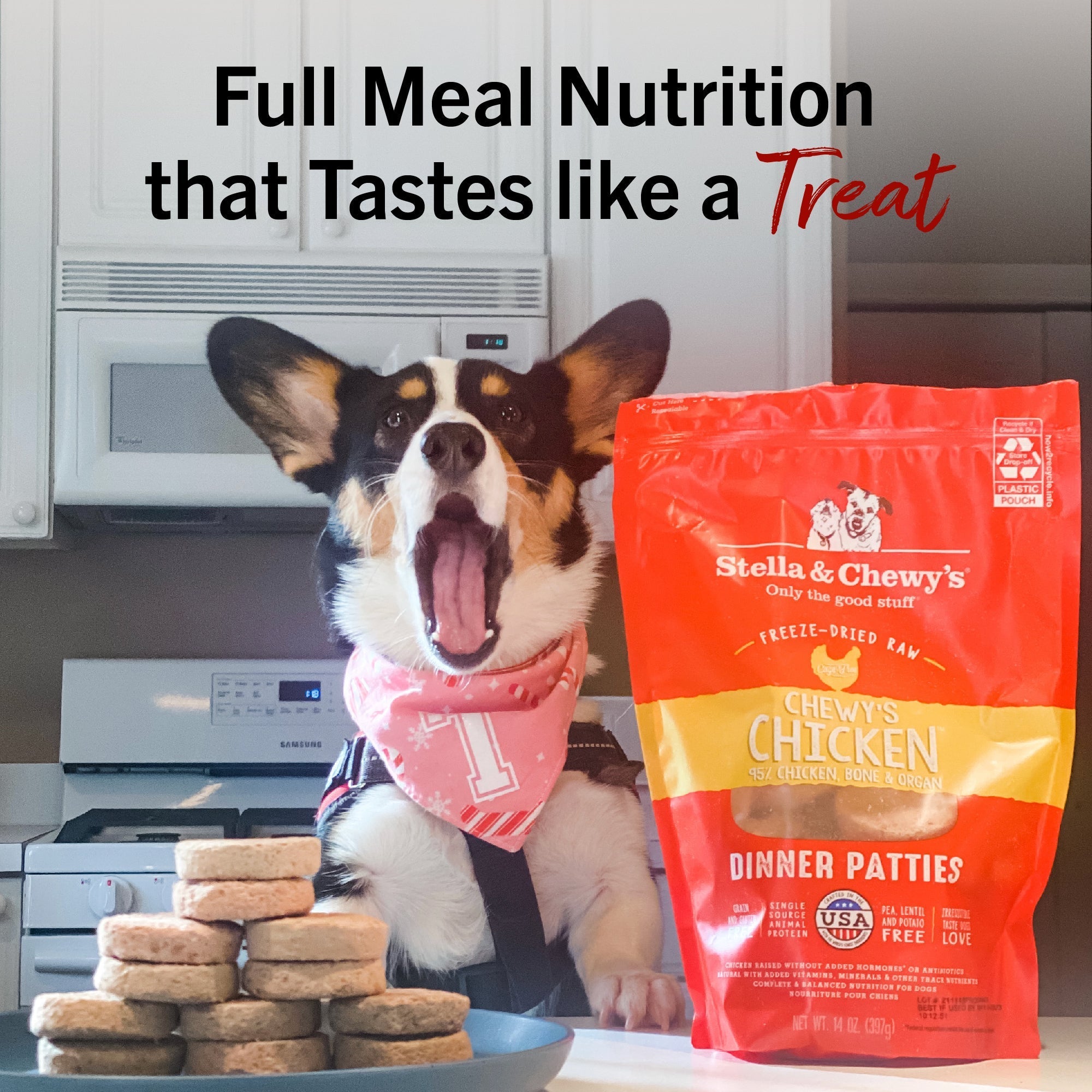 Dandy Lamb Freeze-Dried Raw Dinner Patties