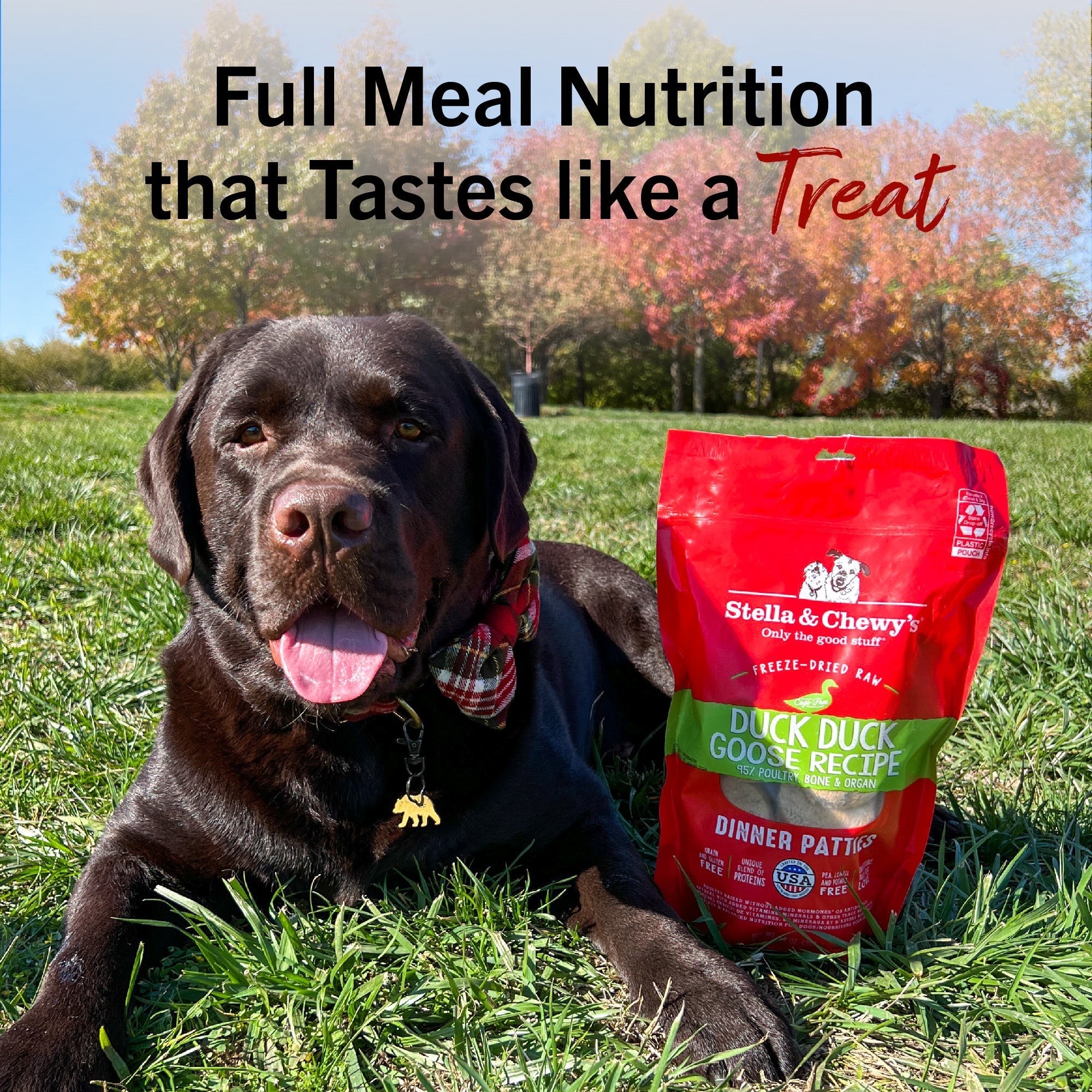 Duck Duck Goose Freeze-Dried Raw Dinner Patties