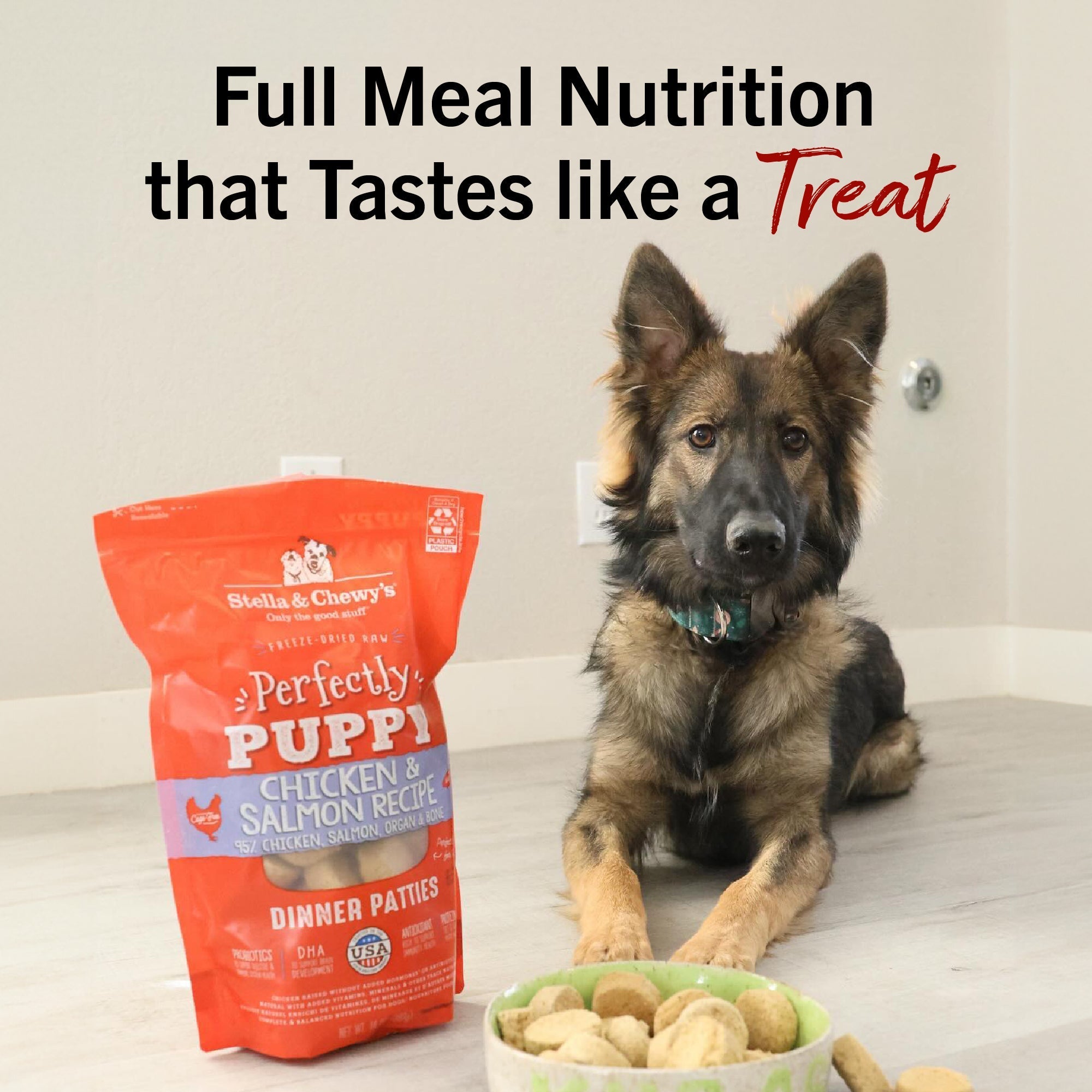 Chicken & Salmon Puppy Patties