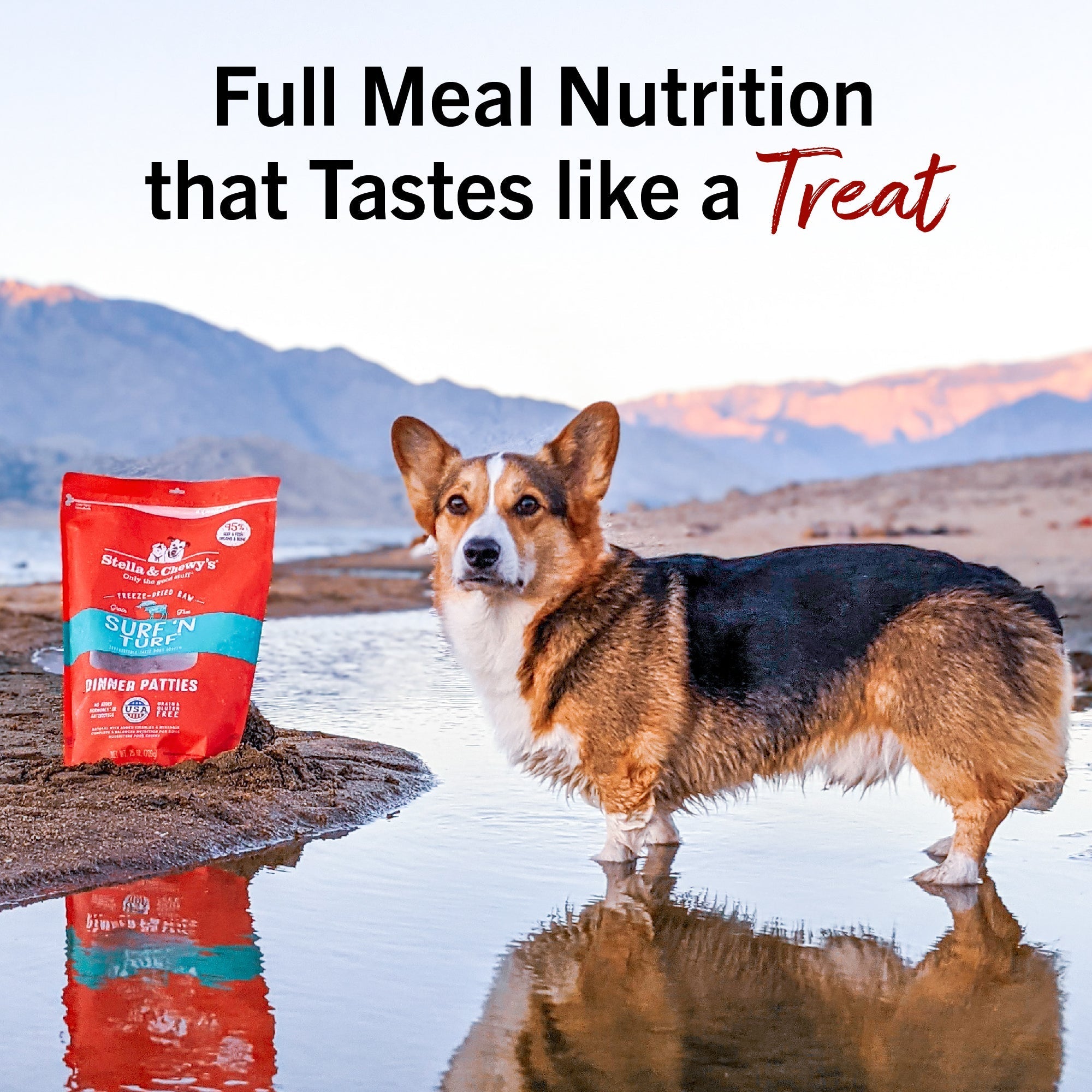Surf ‘N Turf Freeze-Dried Raw Dinner Patties