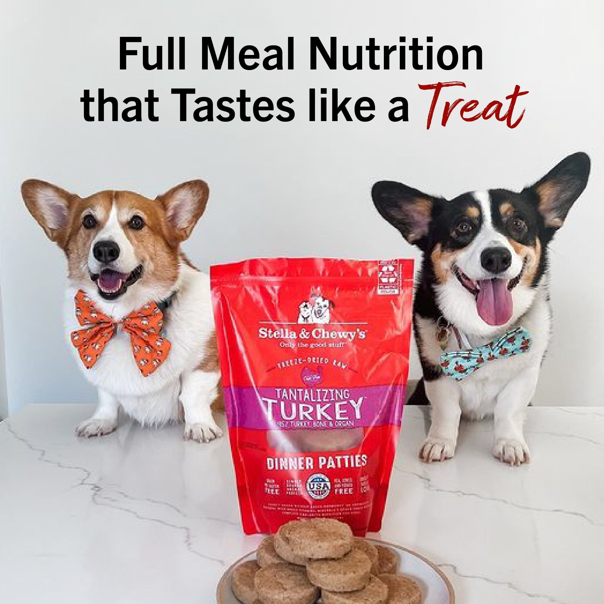 Tantalizing Turkey Freeze-Dried Raw Dinner Patties