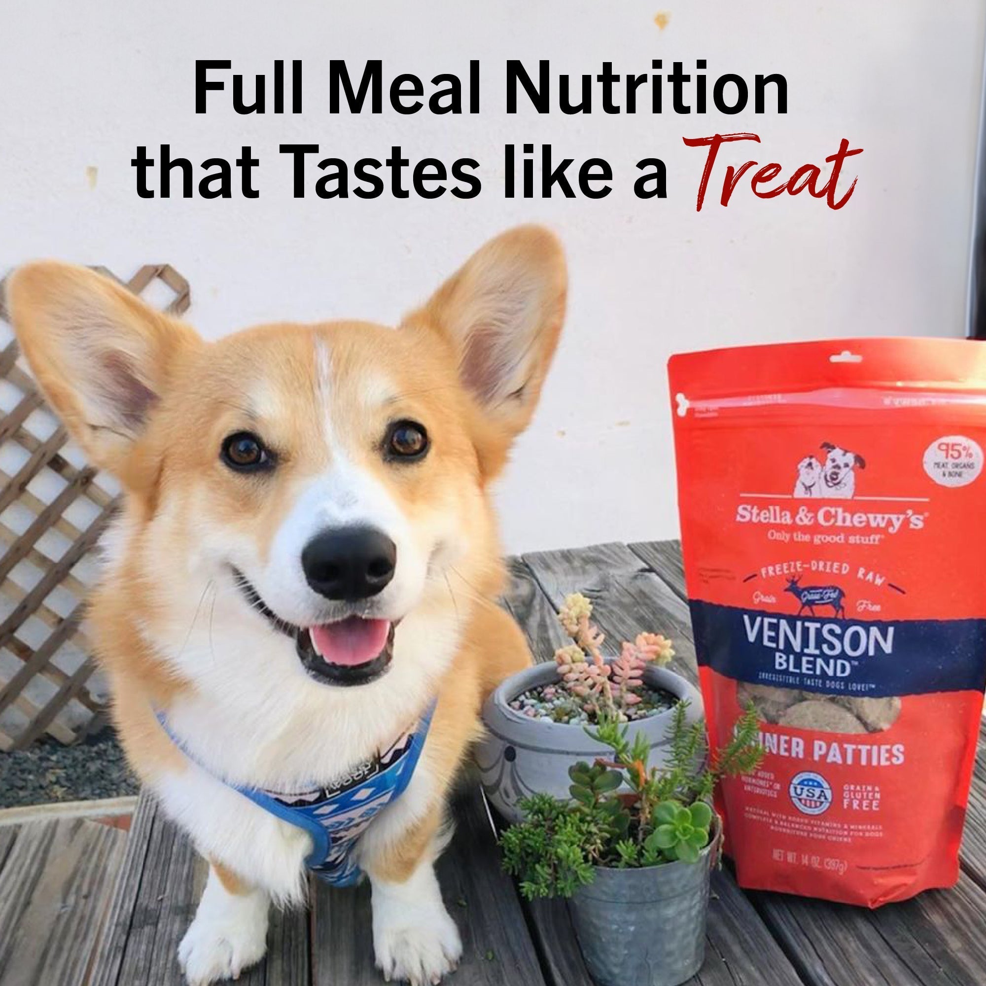 Venison Blend Freeze-Dried Raw Dinner Patties