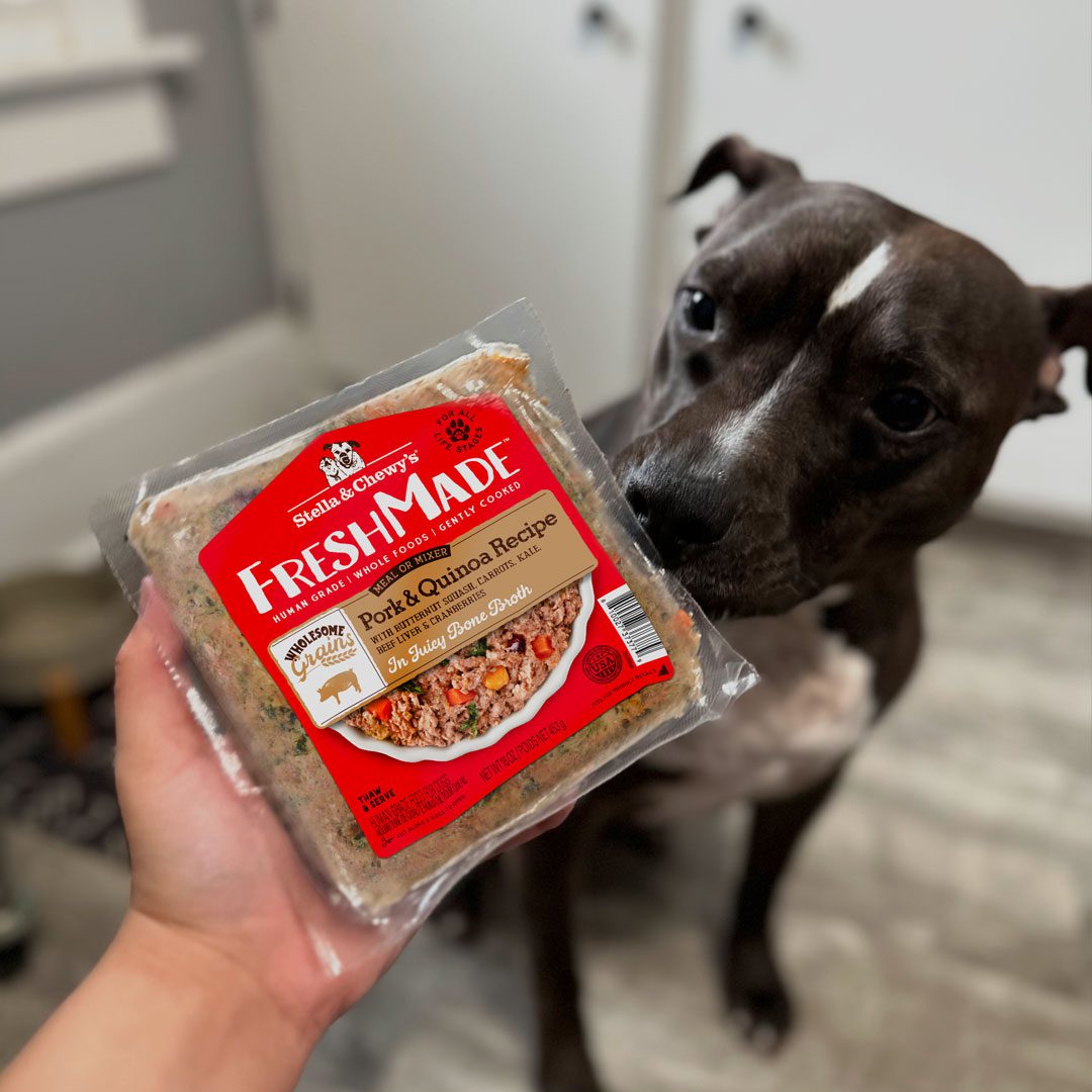 FreshMade Pork & Quinoa Gently Cooked Dog Food