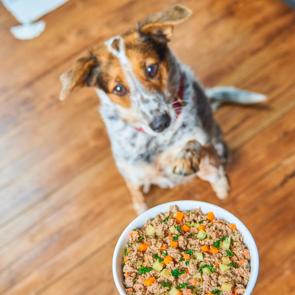 FreshMade Beef, Barley & Turkey Gently Cooked Dog Food