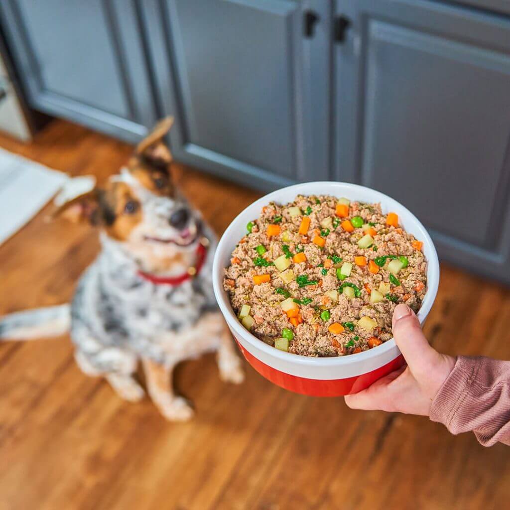FreshMade Beefy-Licious Gently Cooked Dog Food