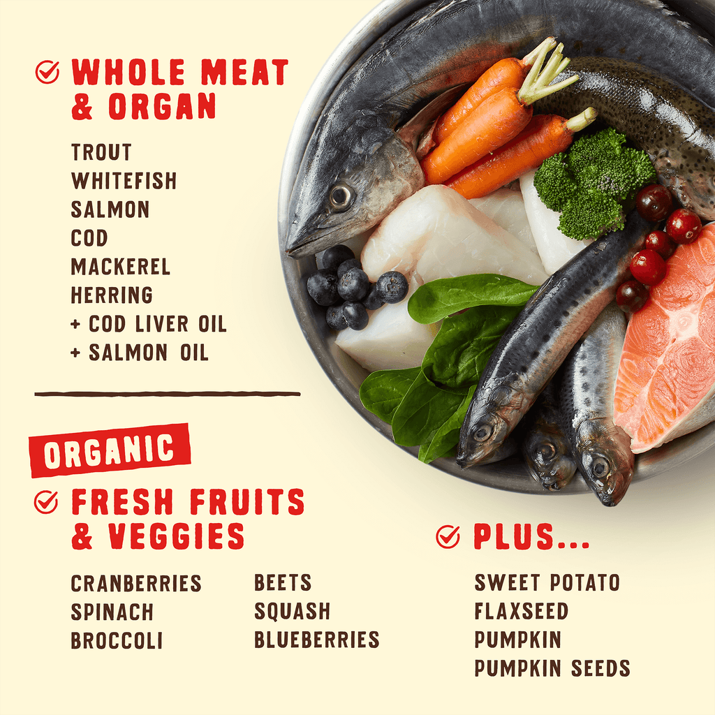 Wild Red Raw Coated Grain & Legume Free Ocean Recipe