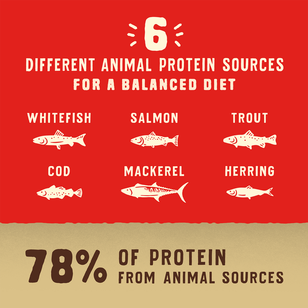 Wild Red Raw Coated Wholesome Grains Ocean Recipe
