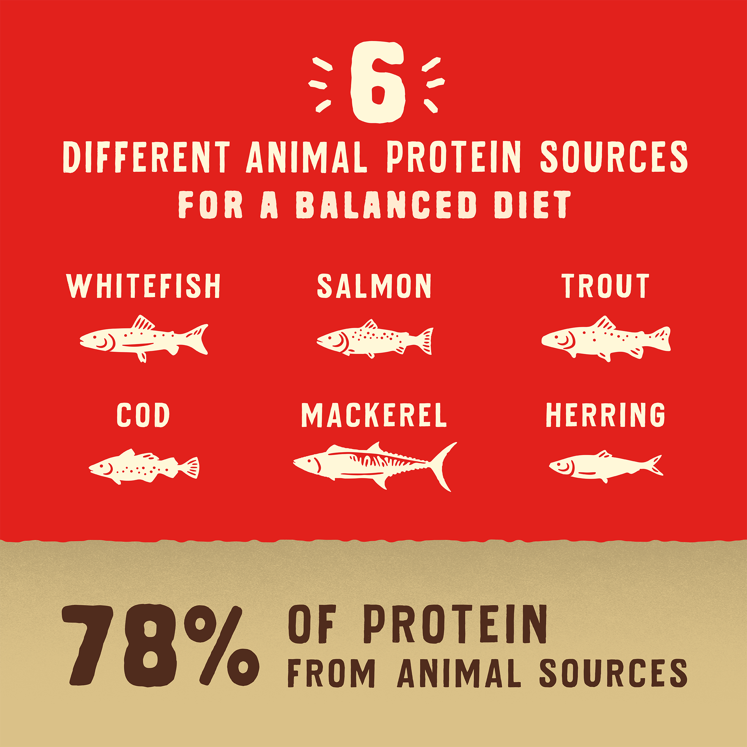Wild Red Raw Coated Wholesome Grains Ocean Recipe