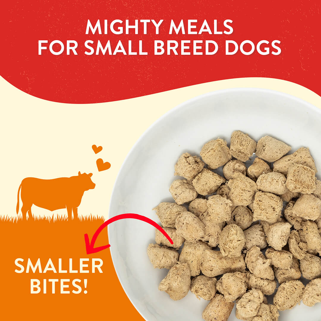 Itty Bitty Beef Lil’ Bites