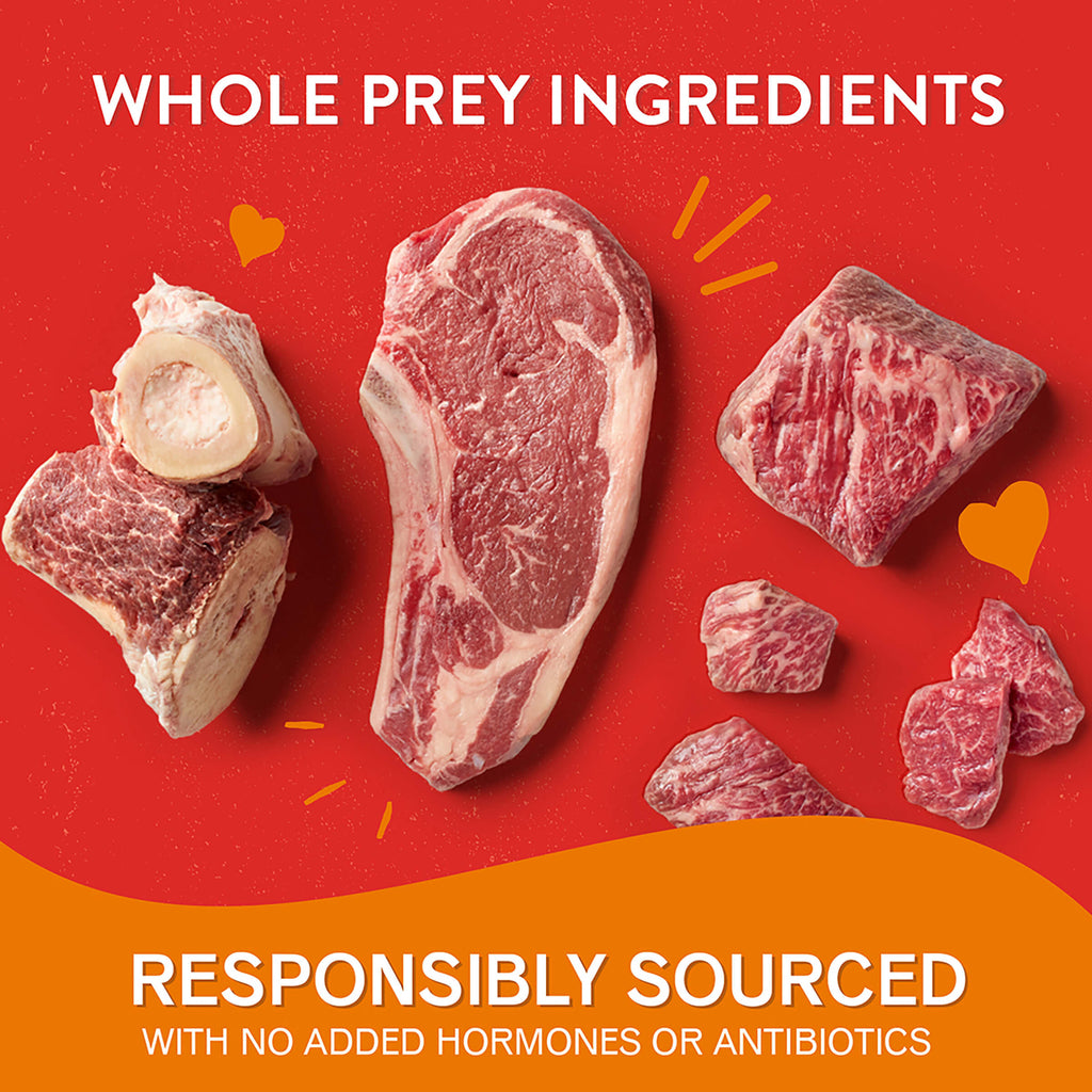 Itty Bitty Beef Lil’ Bites