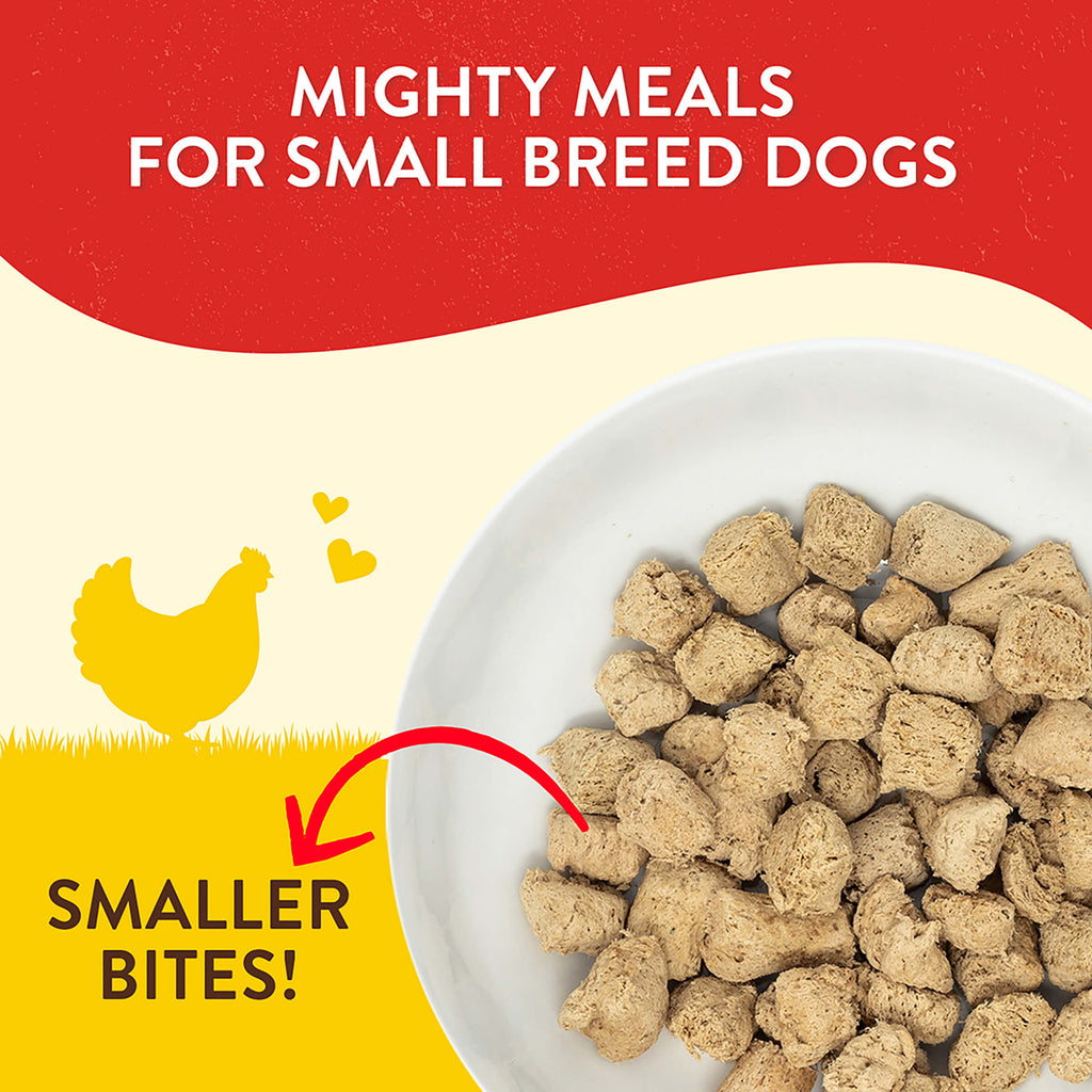 Chicken Little Lil’ Bites