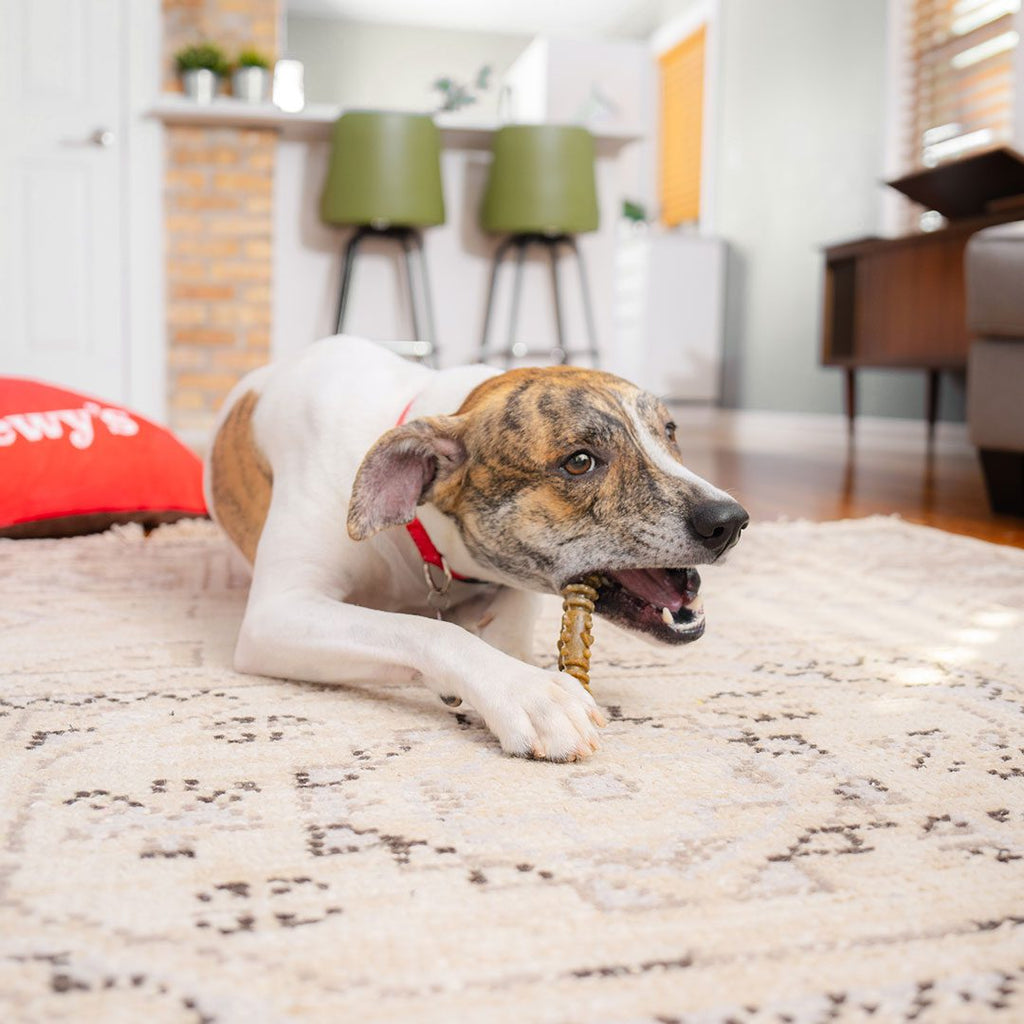 Dental Delights Medium Dog Dental Treats