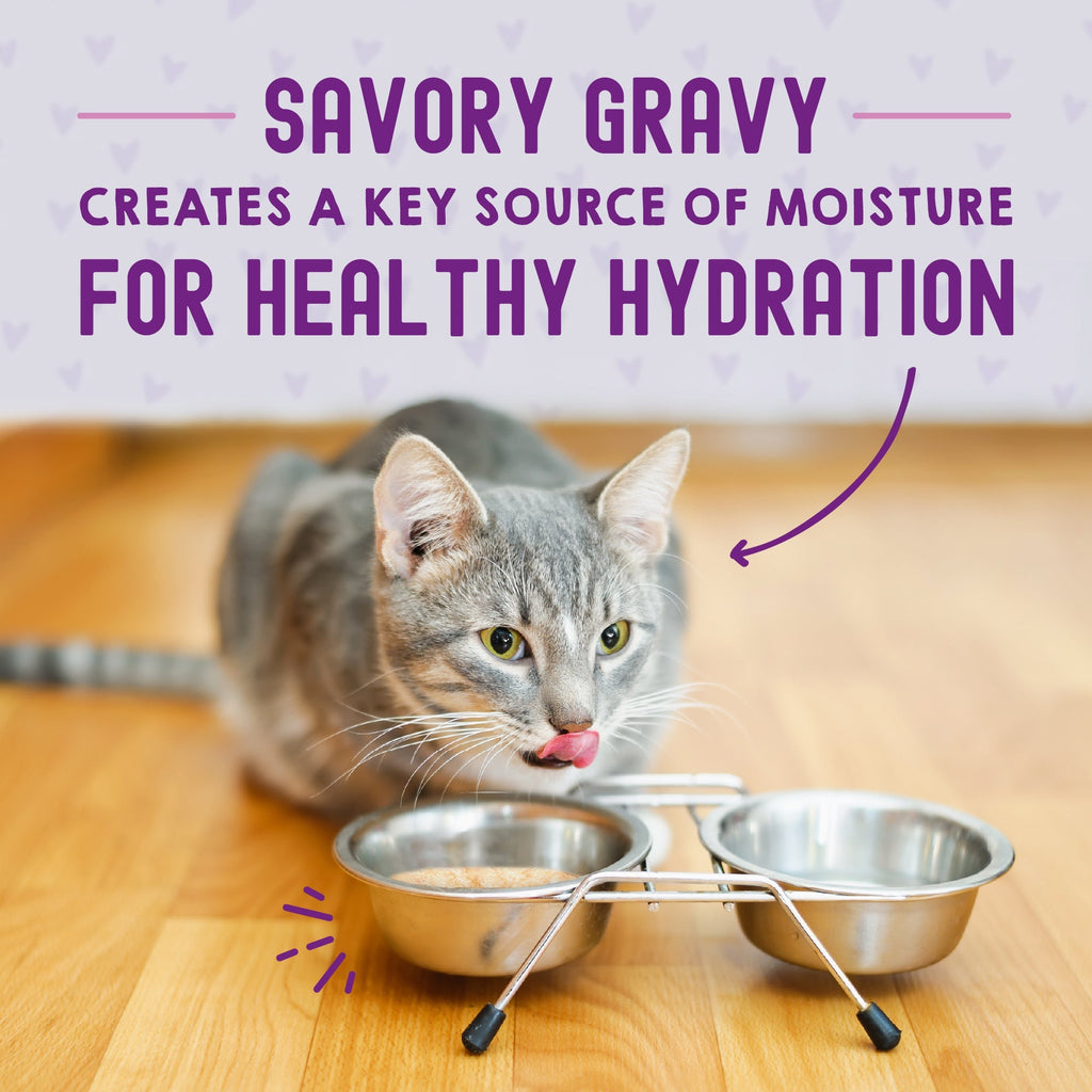 Carnivore Cravings Morsels'N'Gravy Chicken & Salmon Recipe