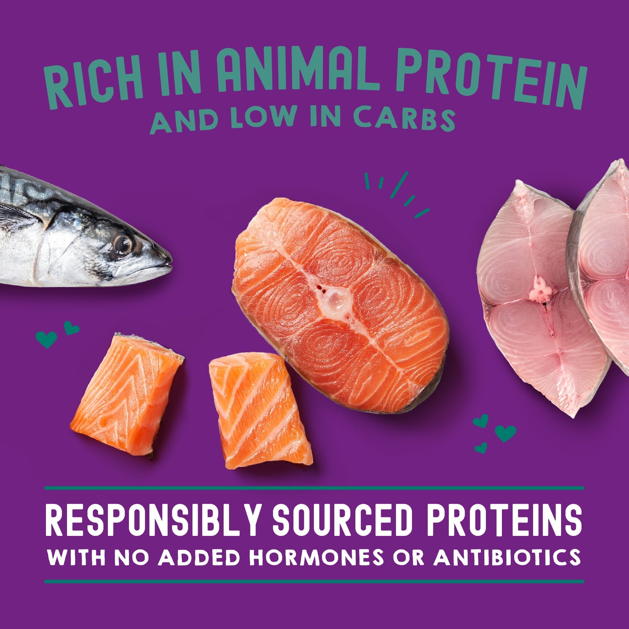 Carnivore Cravings Morsels'N'Gravy Salmon & Mackerel Recipe