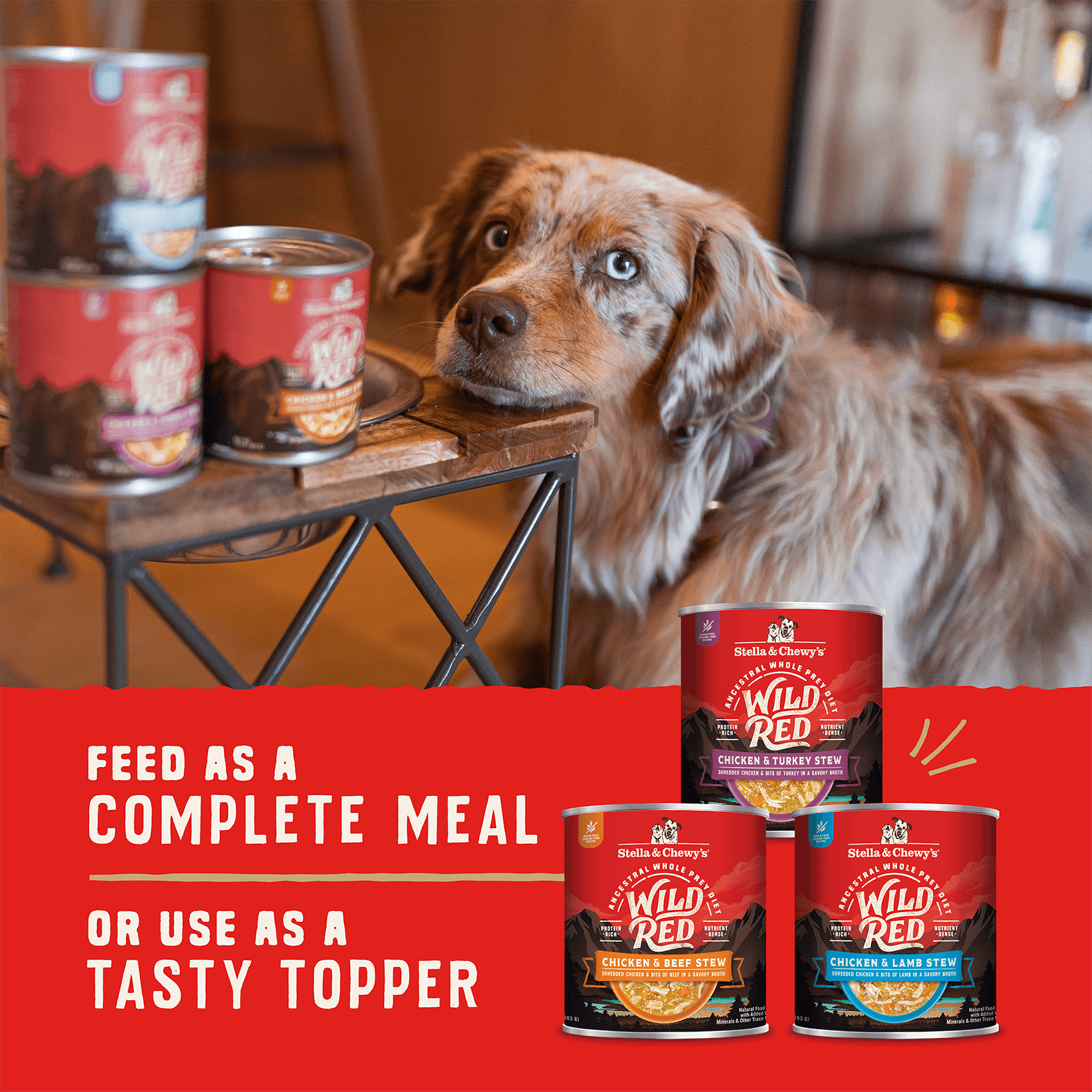 Wild Red Stew Variety Pack