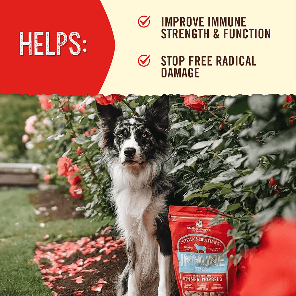 Stella’s Solutions Immune Support