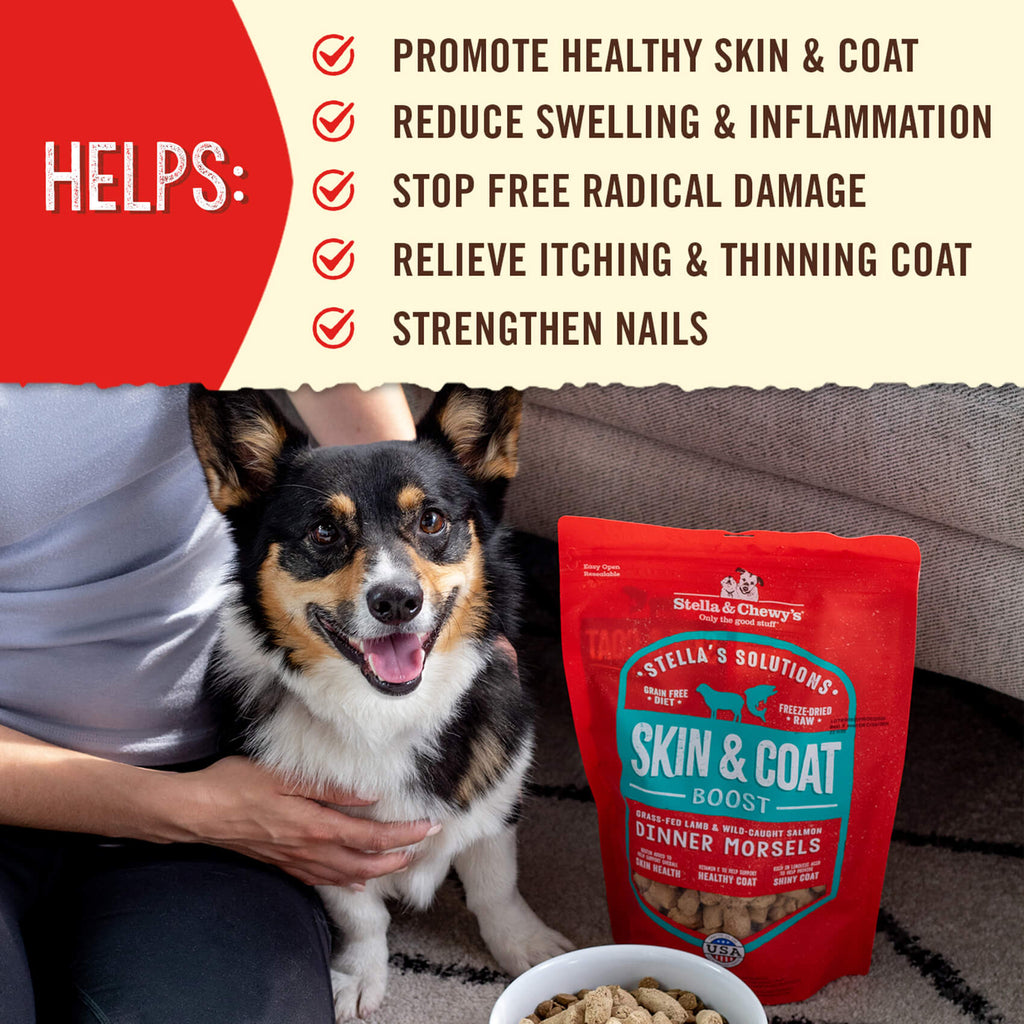 Stella’s Solutions Skin & Coat Support