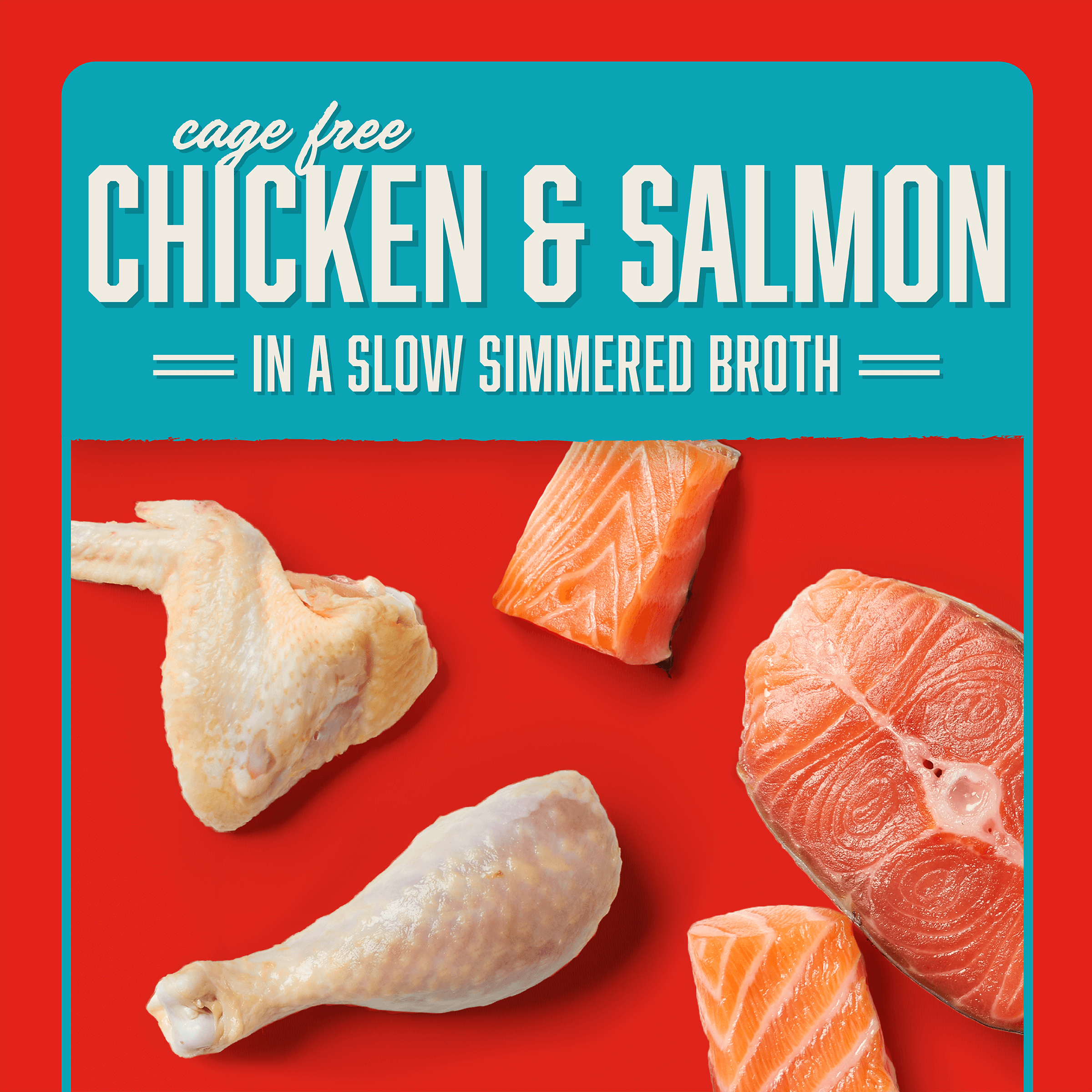 Stella's Shredrs Chicken & Salmon Recipe in Broth