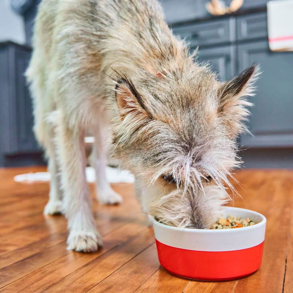 FreshMade Gobblin' Good Gently Cooked Dog Food